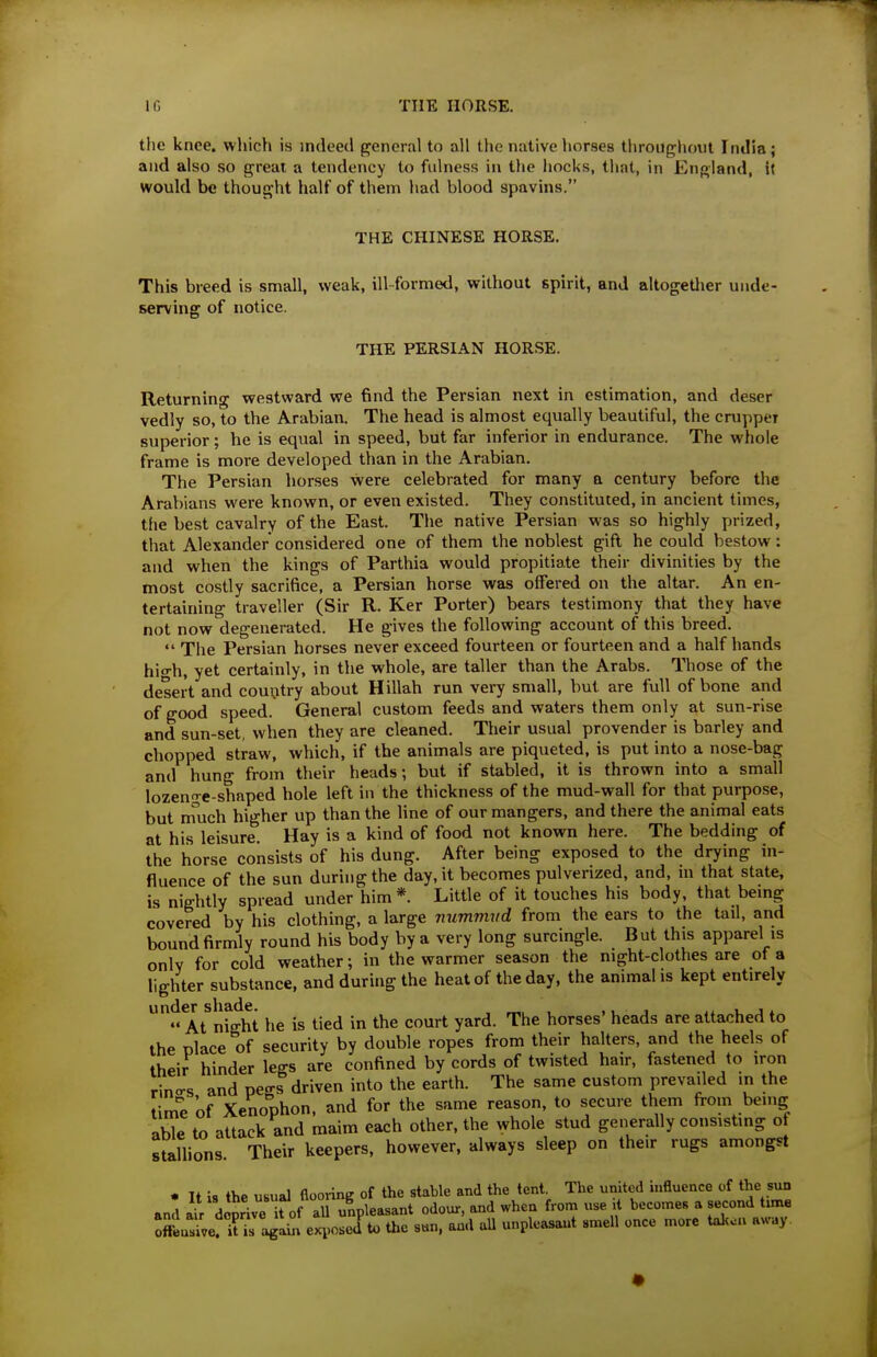 the knee, which is indeed general to all the native horses throughout India ; and also so great a tendency to fulness in the liocks, that, in England, it would be thought half of them had blood spavins. THE CHINESE HORSE. This breed is small, weak, ill-formed, without spirit, and altogetlier unde- serving of notice. THE PERSIAN HORSE. Returning westward we find the Persian next in estimation, and deser vedly so, to the Arabian. The head is almost equally beautiful, the crupper superior; he is equal in speed, but far inferior in endurance. The whole frame is more developed than in the Arabian. The Persian horses were celebrated for many a century before the Arabians were known, or even existed. They constituted, in ancient times, the best cavalry of the East. The native Persian was so highly prized, that Alexander considered one of them the noblest gift he could bestow : and when the kings of Parthia would propitiate their divinities by the most costly sacrifice, a Persian horse was offered on the altar. An en- tertaining traveller (Sir R. Ker Porter) bears testimony that they have not now degenerated. He gives the following account of this breed.  The Persian horses never exceed fourteen or fourteen and a half hands hio-h, yet certainly, in the whole, are taller than the Arabs. Those of the desert and couijtry about Hillah run very small, but are full of bone and of good speed. General custom feeds and waters them only at sun-rise and sun-set, when they are cleaned. Their usual provender is barley and chopped straw, which, if the animals are piqueted, is put into a nose-bag and hung from their heads; but if stabled, it is thrown into a small lozen-e-shaped hole left in the thickness of the mud-wall for that purpose, but much higher up than the line of our mangers, and there the animal eats at his leisure. Hay is a kind of food not known here. The bedding of the horse consists of his dung. After being exposed to the drying in- fluence of the sun during the day, it becomes pulverized, and, in that state, is nightly spread under him *. Little of it touches his body, that bemg covered by his clothing, a large nummud from the ears to the tail, and bound firmly round his body by a very long surcingle. But this apparel is only for cold weather; in the warmer season the night-clothes are of a lighter substance, and during the heat of the day, the animal is kept entirely At^ night he is tied in the court yard. The horses' heads are attached to the place of security by double ropes from their halters, and the heels of their hinder legs are confined by cords of twisted hair, fastened to iron rino-s and pe-s driven into the earth. The same custom prevailed in the tim'e of Xenophon, and for the same reason, to secure them ft-om being able to attack and maim each other, the whole stud generally consisting of stellions. Their keepers, however, always sleep on their rugs amongst . It is the usual flooring of the stable and the tent. The united influence of the sun and ai^ deprive t of aU unpleasant odour, and when from use ^ becomes a second tmxe offeusL: U?s aga^ exposed to the 8«n. and aU unpleasant smell once more tal..a away •