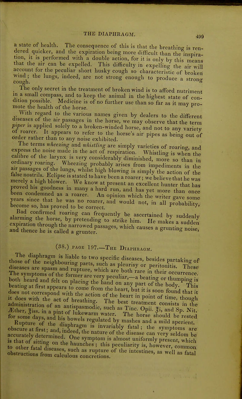 a state of health. The consequence of this I's that the breathing is ren- dered quicker, and the expiration being more difficult than the inspira tion, It IS performed with a double action, for it is only bv this mean<, that the air can be expelled. This difficulty in expelling the air will account for the peculiar short husky cough so characteristic of broken wind ; the lungs, indeed, are not strong enough to produce a strons cough. o ^ The only secret in the treatment of broken wind is to afford nutriment in a small compass, and to keep the animal in the highest state of con- dition possible. Medicine is of no further use than so far as it may pro- mote the health of the horse. With regard to the various names given by dealers to the different diseases of the air passages in the horse, we may observe that the term piper IS applied solely to a broken-winded horse, and not to any variety of roarer It appears to refer to the horse's air pipes as being out of order rather than to any noise exhibited. S The terms wheezing and whistling are simply varieties of roaring and express the noise made in the act of respiration. Whistling is when the calibre of the Wynx ,s very considerably diminished, more so than in ordinary roaring. Wheezing probably arises from impediments in thp air passages of the lungs, whilst high blowing is simplyTe actbn of lie false nostri s Eclipse is stated to have been a r'oarer; we believe that he was merely a high b ower. We know at present an excellent hunter hat 'a proved his goodness in many a hard run, and has yet more than once been condemned as a roarer. An opinion which the writer gave sor^e years since that he was no roarer, and would not. in all 0^^^ become so, has proved to be correct P'ODaointy, (38.) PAGE 197—The Diaphragm. The diaphragm is liable to two specific diseases, besides partaking of those of the neighbouring parts, sudi as pleurisy or Slitis TZTZi:.lTtCi ^'P^^ '^^ i^their occurJete ine symptoms ot the former are very peculiar a hpnfJr.^ ^ ''r.- both heard and felt on placing the hVnd on a^y parttf tlie bodT'^T^ beating at first appears to come from the heart hut il i. VrT e ^'^ . does not correspond with the action of the h l'rti.^ po „t of tte t^'^ I' It does with the act of breathino- Th^ I F though R DtureTf lit • ? ««''l''»<' by mashes and a mild aperienl Ob cSfi°fi.''a„dt,'l T,T ''1''^' • 'y-P'oms a o