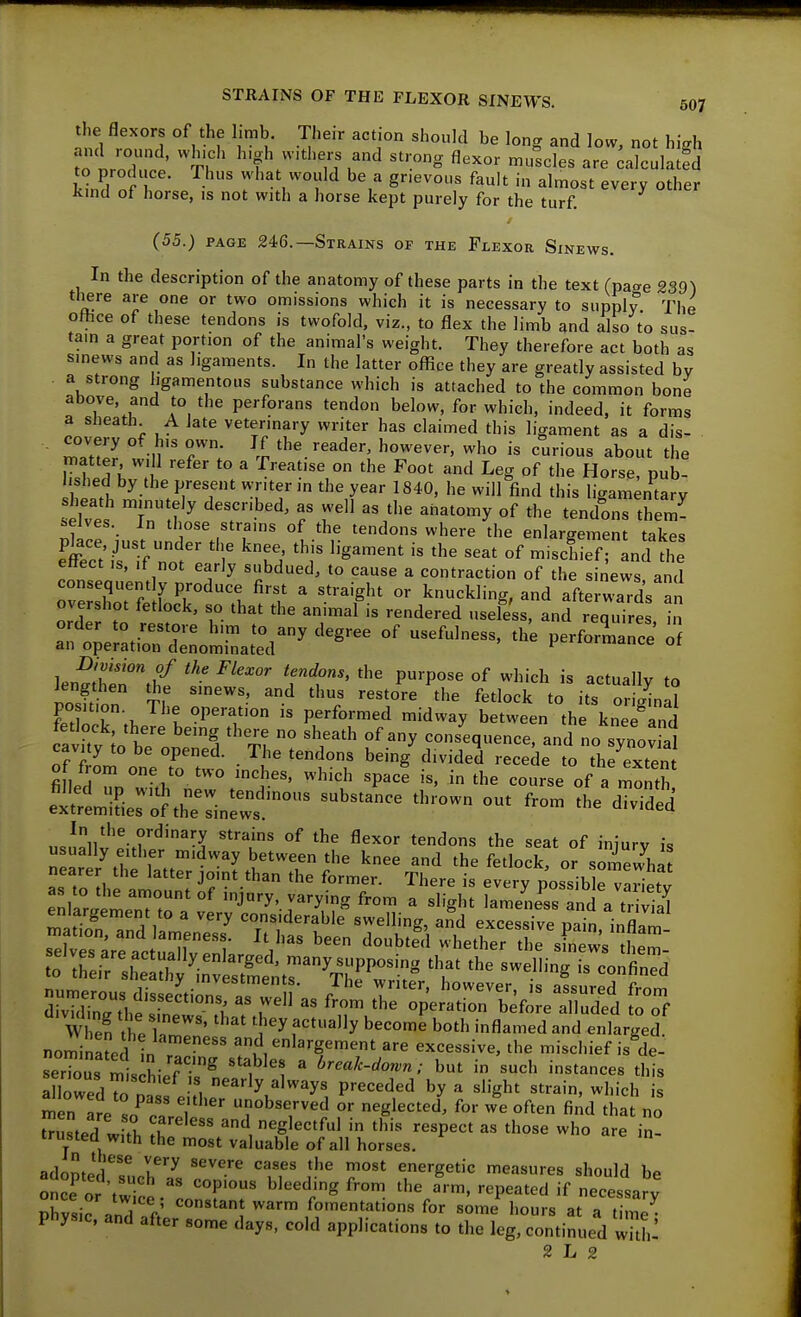 the flexors of the limb. Their action should be long and low, not high ?ot';:;i:,t' TU ^'tr'^^^l-'^^^ ^exor mutles are calculated to produce. Thus what would be a gnevous fault in almost every other Krncl ot horse, is not with a horse kept purely for the turf. (55.) PAGE 246.—Strains of the Flexor Sinews. In the description of the anatomy of these parts in the text (pa^e 239) there are one or two omissions which it is necessary to supply The oHice of these tendons is twofold, viz., to flex the limb and also to sus- tam a great portion of the animal's weight. They therefore act both as sinews and as ligaments. In the latter oflice they are greatly assisted bv a strong ligamentous substance which is attached to the common bone above, and to the perforans tendon below, for which, indeed, it forms a slieath A late veterinary writer has claimed this ligament as a dis- . ZZl tl'^^-^-der, however, who is curious about the iTstd r.'i ^ Foot and Leg of the Horse, pub- ^^.'^'f' W'^^11 this ligamentary s Tves Tn U ' T'^'^' f «^ '^'^ '^dons them- selves. In those strains of the tendons where the enlargement takes ett ii if nof e 'l' 'S^'^^^^^ '^^ '''' misclief lndIh ettect IS, If not early subdued, to cause a contraction of the sinews and consequently produce first a straight or knuckling, and afterwards an overshot fetlock, so that the animal is rendered usefe'ss, and requires in order to restore h.m to any degree of usefulness, the performance' of an operation denominated pcnurmance or Jengthen the smews and thus restore the fetlock to its original po ition. The operation is performed midway between the knef 3 fetlock there being there no sheath of any consequence, and no synovial cavity to be opened. The tendons being divided recede to the^exten e^rliLroV\heTiner.'°^ ^'^^^ '^^^^ In the ordinary strains of the flexor tendons the seat of injury is as to the amount of injury, varying from a slight lameness and a tS 3=f:rrrp'erorbef^reXi^d :^Tf Whe^ IZuZ' f^tually become both inflamed and enlarged nominaLd in ' and enlargement are excessive, the miscliief is de- serTous'^,l;Eie?is^n ''f 1 ' l^reak-dorvn; but in such instances this allowed Tn^ , ^^'^y ^^^^y preceded by a slight strain, which is ^en a?e To'/ T' T^'V^ or neglected, for we often find that no ^^usted with ft '^i neglectful in this respect as those who are in- trusted with the most valuable of all horses. adomi!rr*^ ^^''^'■^ '''^^ ''t energetic measures should be o^ce' o 'twi^co 'P^ '''' '•^P-^'^'' if -cessa'y physic anTl .ft fomentations for some hours at a time^ physic, and after some days, cold applications to the leg, continued wTth' 2 L 2
