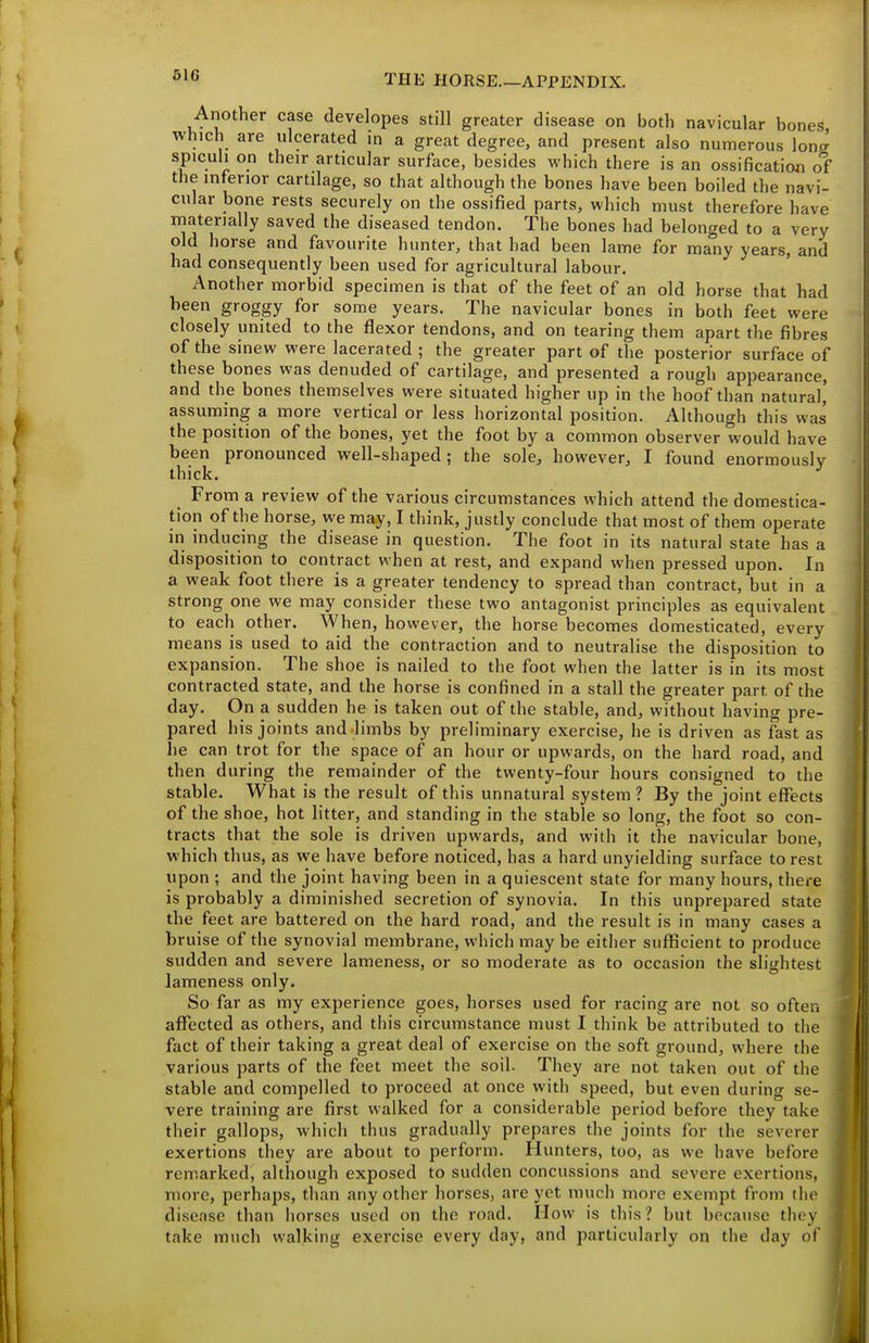 Another case developes still greater disease on both navicular bones which are ulcerated in a great degree, and present also numerous lone spicuh on their articular surface, besides which there is an ossification of the inferior cartilage, so that although the bones have been boiled the navi- cular bone rests securely on the ossified parts, which must therefore have materially saved the diseased tendon. The bones had belonged to a very old horse and favourite hunter, that had been lame for many years, and had consequently been used for agricultural labour. Another morbid specimen is that of the feet of an old horse that had been groggy for some years. The navicular bones in both feet were closely united to the flexor tendons, and on tearing them apart the fibres of the sinew were lacerated ; the greater part of the posterior surface of these bones was denuded of cartilage, and presented a rough appearance, and the bones themselves were situated higher up in the hoof than natural,' assuming a more vertical or less horizontal position. Although this was the position of the bones, yet the foot by a common observer would have been pronounced well-shaped; the sole, however, I found enormously thick. From a review of the various circumstances which attend the domestica- tion of the horse, we may, I think, justly conclude that most of them operate in inducing the disease in question. The foot in its natural state has a disposition to contract when at rest, and expand when pressed upon. In a weak foot there is a greater tendency to spread than contract, but in a strong one we may consider these two antagonist principles as equivalent to each other. When, however, the horse becomes domesticated, every means is used to aid the contraction and to neutralise the disposition to expansion. The shoe is nailed to the foot when the latter is in its most contracted state, and the horse is confined in a stall the greater part of the day. On a sudden he is taken out of the stable, and, without having pre- pared his joints and limbs by preliminary exercise, he is driven as fast as he can trot for the space of an hour or upwards, on the hard road, and then during the remainder of the twenty-four hours consigned to the stable. What is the result of this unnatural system ? By the joint eflfects of the shoe, hot litter, and standing in the stable so long, the foot so con- tracts that the sole is driven upwards, and with it the navicular bone, which thus, as we have before noticed, has a hard unyielding surface to rest upon ; and the joint having been in a quiescent state for many hours, there is probably a diminished secretion of synovia. In this unprepared state the feet are battered on the hard road, and the result is in many cases a bruise of the synovial membrane, which may be eitlier sufficient to produce sudden and severe lameness, or so moderate as to occasion the slightest lameness only. So far as my experience goes, horses used for racing are not so often affected as others, and this circumstance must I think be attributed to the fact of their taking a great deal of exercise on the soft ground, where the various parts of the feet meet the soil. They are not taken out of the stable and compelled to proceed at once with speed, but even during se- vere training are first walked for a considerable period before they take their gallops, which thus gradually prepares the joints for the severer exertions they are about to perform. Hunters, too, as we have before remarked, although exposed to sudden concussions and severe exertions, more, perhaps, than any other horses, are yet much more exempt from the disease than horses used on the road. How is this? but because they take much walking exercise every day, and particularly on the day of