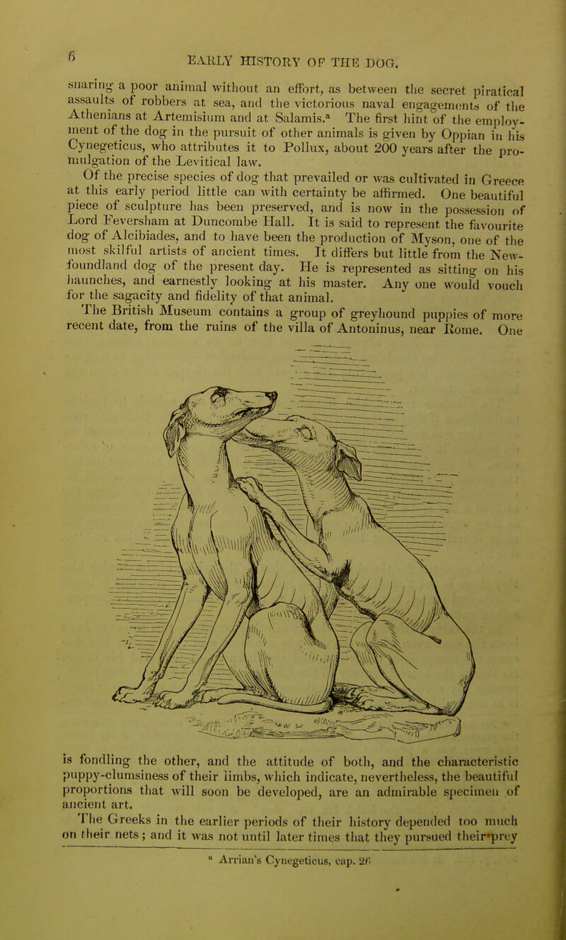snaring a poor animal without an effort, as between the secret piratical assaults of robbers at sea, and the victorious naval engagements of the Athenians at Artemisium and at Salamis. The first hint of the employ- ment of the dog in the pursuit of other animals is given by Oppian in his Cynegeticus, who attributes it to Pollux, about 200 years after the pro- mulgation of the Levitical law. Of the precise species of dog that prevailed or was cultivated in Greece at this early period little can with certainty be affirmed. One beautiful piece of sculpture has been preserved, and is now in the possession of Lord Feversham at Duncombe Hall. It is said to represent, the favourite dog of Alcibiades, and to have been the production of Myson, one of the most skilful artists of ancient times. It differs but little from the New- foundland dog of the present day. He is represented as sitting on his haunches, and earnestly looking at his master. Any one would vouch for the sagacity and fidelity of that animal. The British Museum contains a group of greyhound puppies of more recent date, from the ruins of the villa of Antoninus, near Rome. One is fondling the other, and the attitude of both, and the characteristic puppy-clumsiness of their limbs, which indicate, nevertheless, the beautiful proportions that will soon be developed, are an admirable specimen of ancient art. The Greeks in the earlier periods of their history depended too much on their nets; and it was not until later times that they pursued their*pr< y » Ar rian's Cynegeticus, cap. '2t'<
