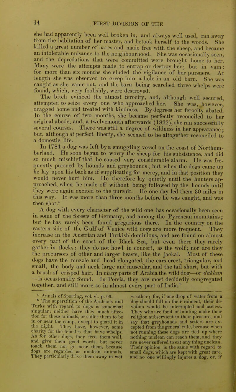 she had apparently been well broken in, and always well used, ran away from the habitation of her master, and betook herself to the woods. She killed a great number of hares and made free with the sheep, and became an intolerable nuisance to the neighbourhood. She was occasionally seen, and the depredations that were committed were brought home to her. Many were the attempts made to entrap or destroy her; but in vain: for more than six months she eluded the vigilance of her pursuers. At length she was observed to creep into a hole in an old barn. She was caught as she came out, and the barn being searched three whelps were found, which, very foolishly, were destroyed. The bitch evinced the utmost ferocity, and, although well secured, attempted to seize every one who approached her. She was, however dragged home and treated with kindness. By degrees her ferocity abated! In the course of two months, she became perfectly reconciled to her original abode, and, a twelvemonth afterwards (1822), she ran successfully several courses. There was still a degree of wildness in her appearance; but, although at perfect liberty, she seemed to be altogether reconciled to a domestic life. In 1784 a dog was left by a smuggling vessel on the coast of Northum- berland. He soon began to worry the sheep for his subsistence, and did so much mischief that he caused very considerable alarm. He was fre- quently pursued by hounds and greyhounds; but when the dogs came up he lay upon his back as if supplicating for mercy, and in that position they would never hurt him. He therefore lay quietly until the hunters ap- proached, when he made off without being followed by the hounds until they were again excited to the pursuit. He one day led them 30 miles in this way. It was more than three months before he was caught, and was then shot. A dog with every character of the wild one has occasionally been seen in some of the forests of Germany, and among the Pyrenean mountains; but he has rarely been found gregarious there. In the country on the eastern side of the Gulf of Venice wild dogs are more frequent. They increase in the Austrian and Turkish dominions, and are found on almost every part of the coast of the Black Sea, but even there they rarely gather in flocks: they do not howl in concert, as the wolf; nor are they the precursors of other and larger beasts, like the jackal. Most of these dogs have the muzzle and head elongated, the ears erect, triangular, and small, the body and neck large and muscular, and the tail short, but with a brush of crisped hair. In many parts of Arabia the wild dog—or dakhun —is occasionally found. In Persia, they are most decidedly congregated together, and still more so in almost every part of India.b  Annals of Sporting, vol, vi. p. 99. b The superstition of the Arabians and Turks with regard to dogs is somewhat singular: neither have they much affec- tion for these animals, or suffer them to be in or near the camp, except to guard it in the night. They have, however, some charity for the females that have whelps. As for other dogs, they feed them well, and give them good words, but never touch them nor go near them, because dogs are regarded as unclean animals. They particularly drive them away in wet weather; for, if one drop of water from a dog should fall on their raiment, their de- votion would be interrupted and useless. They who are fond of hunting make their religion subservient to their pleasure, and say that greyhounds and setters are ex- cepted from the general rule, because when not running these dogs are tied up where nothing unclean can reach them, aud they are never suffered to eat any thing unclean. Their opinion is the same with regard to small dogs, which are kept with great care, and no one willingly injures a dog, or, if