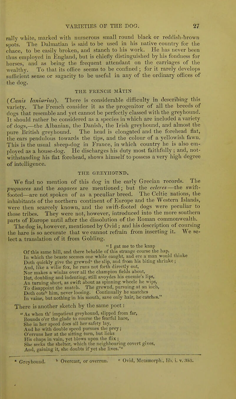 rally white, marked with numerous small round black or reddish-brown spots. The Dalmatian is said to be used in his native country for the chace, to be easily broken, and stanch to his work. He has never been thus employed in England, but is chiefly distinguished by his fondness for horses, and as being the frequent attendant on the carriages of the wealthy. To that its office seems to be confined ; for it rarely develops sufficient sense or sagacity to be useful in any of the ordinary offices of the dog. THE FRENCH MATIN (Canis laniarius). There is considerable difficulty in describing this variety. The French consider it as the progenitor of all the breeds of dogs that resemble and yet cannot be perfectly classed with the greyhound. It should rather be considered as a species in which are included a variety of dogs,—the Albanian, the Danish, the Irish greyhound, and almost the pure British greyhound. The head is elongated and the forehead flat, the ears pendulous towards the tips, and the colour of a yellowish fawn. This is the usual sheep-dog in France, in which country he is also em- ployed as a house-dog. He discharges his duty most faithfully ; and, not- withstanding his flat forehead, shows himself to possess a very high degree of intelligence. THE GBEYHOTJND. We find no mention of this dog in the early Grecian records. The pugnaces and the sagaces are mentioned; but the ccleres—the swift- footed—are not spoken of as a peculiar breed. The Celtic nations, the inhabitants of the northern continent of Europe and the Western Islands, were then scarcely known, and the swift-footed dogs were peculiar to those tribes. They were not, however, introduced into the more southern parts of Europe until after the dissolution of the Roman commonwealth. The dog is, however, mentioned by Ovid ; and his description of coursing the hare is so accurate that we cannot refrain from inserting it. We se- lect a translation of it from Golding.  I gat me to the knap Of this same hill, and there behelde of this strange course the hap, In which the beaste seemes one while caught, and ere a man would thinke Doth quickly give the grewnd the slip, and from his biting shrinke ; And, like a wilie fox, he runs not forth directly out, Nor makes a winlas over all the champion fields about, But, doubling and indenting, still uvoydes his enemie's lips, An turning short, as swift about as spinning wheele he wips, To disappoint the snatch. The grewnd, pursuing at an inch, Doth coteb him, never loosing. Continually he snatches In vaine, but nothing in his mouth, save only hair, he catches. There is another sketch by the same poet: « As when th' impatient greyhound, slipped from far, Bounds o'er the glade to course the fearful hare, She in her speed does all her safety lay, And he with double speed pursues the prey; O'erruns her at the sitting turn, but licks His chaps in vain, yet blows upon the flix ; She seeks the shelter, which the neighbouring covert gives, And, gaining it, she doubts if yet she lives.c • Greyhound. b Overcast, or overrun. c Ovid, Mctamorph., lib. i. v. 353.
