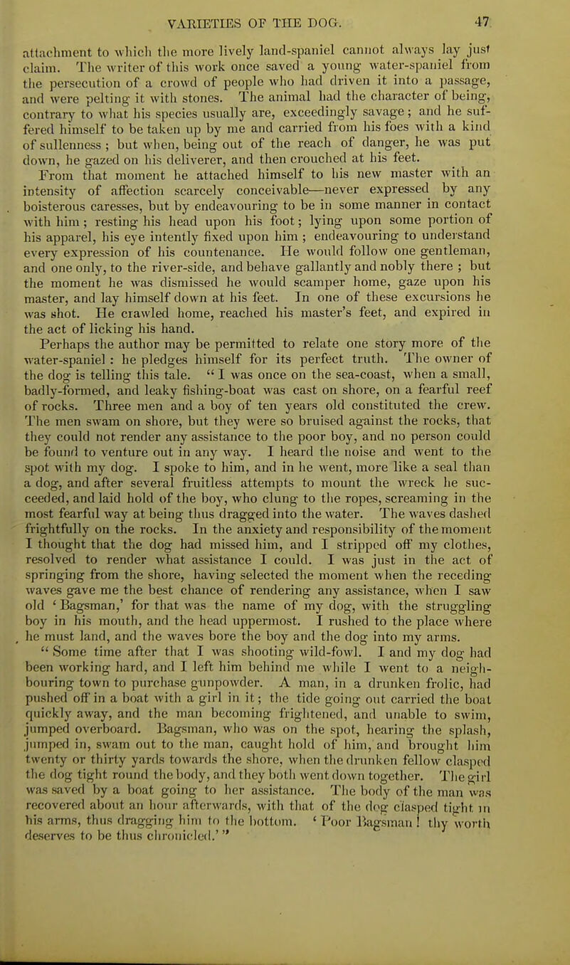 attachment to which the more lively land-spaniel cannot always lay jusf claim. The writer of this work once saved a young water-spaniel from the persecution of a crowd of people who had driven it into a passage, and were pelting it with stones. The animal had the character of being, contrary to what his species usually are, exceedingly savage; and he suf- fered himself to be taken up by me and carried from his foes with a kind of sullenness ; but when, being out of the reach of danger, he was put down, he gazed on his deliverer, and then crouched at his feet. From that moment he attached himself to his new master with an intensity of affection scarcely conceivable—never expressed by any boisterous caresses, but by endeavouring to be in some manner in contact with him; resting his head upon his foot; lying upon some portion of his apparel, his eye intently fixed upon him; endeavouring to understand every expression of his countenance. lie would follow one gentleman, and one only, to the river-side, and behave gallantly and nobly there ; but the moment he was dismissed he would scamper home, gaze upon his master, and lay himself down at his feet. In one of these excursions he was shot. He crawled home, reached his master's feet, and expired in the act of licking his hand. Perhaps the author may be permitted to relate one story more of the water-spaniel : he pledges himself for its perfect truth. The owner of the dog is telling this tale.  I was once on the sea-coast, when a small, badly-formed, and leaky fishing-boat was cast on shore, on a fearful reef of rocks. Three men and a boy of ten years old constituted the crew. The men swam on shore, but they were so bruised against the rocks, that they could not render any assistance to the poor boy, and no person could be found to venture out in any way. I heard the noise and went to the spot with my dog. I spoke to him, and in he went, more like a seal than a dog, and after several fruitless attempts to mount the wreck he suc- ceeded, and laid hold of the boy, who clung to the ropes, screaming in the most fearful way at being thus dragged into the water. The waves dashed frightfully on the rocks. In the anxiety and responsibility of the moment I thought that the dog had missed him, and I stripped off my clothes, resolved to render what assistance I could. I was just in the act of springing from the shore, having selected the moment when the receding waves gave me the best chance of rendering any assistance, when I saw old ' Bagsman,' for that was the name of my dog, with the struggling boy in his mouth, and the head uppermost. I rushed to the place where he must land, and the waves bore the boy and the dog into my arms.  Some time after that I was shooting wild-fowl. I and my dog had been working hard, and I left him behind me while I went to a neigh- bouring town to purchase gunpowder. A man, in a drunken frolic, had [•iished off in a boat with a girl in it; the tide going out carried the boat quickly away, and the man becoming frightened, and unable to swim, jumped overboard. Bagsman, who was on the spot, hearing the splash, jumped in, swam out to the man, caught hold of him, and brought him twenty or thirty yards towards the shore, when the drunken fellow clasped the flog tight round the body, and they both went down together. The girl was saved by a boat going to her assistance. The body of the man was recovered about an hour afterwards, with that of the dog clasped tight m liis arms, thus dragging him to the bottom. ' Poor Bagsman ! thy worth deserves to be thus chronicled.' 
