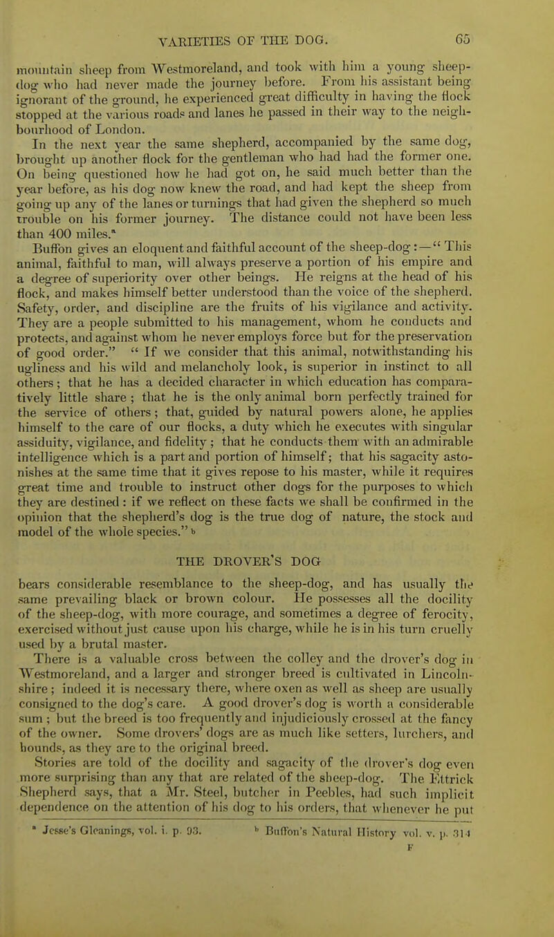 mountain sheep from Westmoreland, and took with him a young sheep- dog who had never made the journey before. From his assistant being ignorant of the ground, he experienced great difficulty in having the Hock stopped at the various roads and lanes he passed in their way to the neigh- bourhood of London. In the next year the same shepherd, accompanied by the same dog, brought up another flock for the gentleman who had had the former one. On being questioned how he had got on, he said much better than the year before, as his dog now knew the road, and had kept the sheep from going up any of the lanes or turnings that had given the shepherd so much trouble on his former journey. The distance could not have been less than 400 miles. Buffon gives an eloquent and faithful account of the sheep-dog:— This animal, faithful to man, will always preserve a portion of his empire and a degree of superiority over other beings. He reigns at the head of his flock, and makes himself better understood than the voice of the shepherd. Safety, order, and discipline are the fruits of his vigilance and activity. They are a people submitted to his management, whom he conducts and protects, and against whom he never employs force but for the preservation of good order.  If we consider that this animal, notwithstanding his ugliness and his wild and melancholy look, is superior in instinct to all others; that he has a decided character in which education has compara- tively little share ; that he is the only animal born perfectly trained for the service of others; that, guided by natural powers alone, he applies himself to the care of our flocks, a duty which he executes with singular assiduity, vigilance, and fidelity ; that he conducts them with an admirable intelligence which is a part and portion of himself; that his sagacity asto- nishes at the same time that it gives repose to his master, while it requires great time and trouble to instruct other dogs for the purposes to which they are destined: if we reflect on these facts we shall be confirmed in the opinion that the shepherd's dog is the true dog of nature, the stock and model of the whole species. >> THE DROVER'S DOG bears considerable resemblance to the sheep-dog, and has usually the same prevailing black or brown colour. He possesses all the docility of the sheep-dog, with more courage, and sometimes a degree of ferocity, exercised without just cause upon his charge, while he is in his turn cruelly used by a brutal master. There is a valuable cross between the colley and the drover's dog in Westmoreland, and a larger and stronger breed is cultivated in Lincoln- shire ; indeed it is necessary there, where oxen as well as sheep are usually consigned to the dog's care. A good drover's dog is worth a considerable sum ; but the breed is too frequently and injudiciously crossed at the fancy of the owner. Some drovers' dogs are as much like setters, lurchers, and hounds, as they are to the original breed. Stories are told of the docility and sagacity of the drover's dog even more surprising than any that are related of the sheep-dog. The Ettriek Shepherd says, that a Mr. Steel, butcher in Peebles, had such implicit dependence on the attention of his dog to his orders, that whenever he put  Jesse's Gleanings, vol. i. p. 93. h BnfTon's Natural History vol. v. \>. 31J F