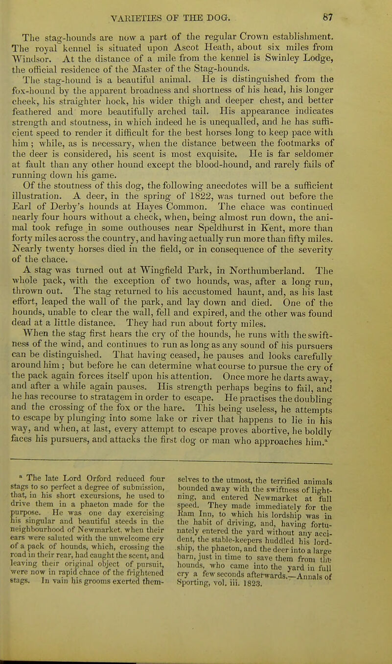 The stag-hounds are now a part of the regular Crown establishment. The royal kennel is situated upon Ascot Heath, about six miles from Windsor. At the distance of a mile from the kennel is Swinley Lodge, the official residence of the Master of the Stag-hounds. The stag-hound is a beautiful animal. He is distinguished from the fox-hound by the apparent broadness and shortness of his head, his longer cheek, his straighter hock, his wider thigh and deeper chest, and better feathered and more beautifully arched tail. His appearance indicates strength and stoutness, in which indeed he is unequalled, and he has suffi- cient speed to render it difficult for the best horses long to keep pace with him; while, as is necessary, when the distance between the footmarks of the deer is considered, his scent is most exquisite. He is far seldomer at fault than any other hound except the blood-hound, and rarely fails of running down his game. Of the stoutness of this dog, the following anecdotes will be a sufficient illustration. A deer, in the spring of 1822, was turned out before the Earl of Derby's hounds at Hayes Common. The chace was continued nearly four hours without a check, when, being almost run down, the ani- mal took refuge in some outhouses near Speldhurst in Kent, more than forty miles across the country, and having actually run more than fifty miles. Nearly twenty horses died in the field, or in consequence of the severity of the chace. A stag was turned out at Wingfield Park, in Northumberland. The whole pack, with the exception of two hounds, was, after a long run, thrown out. The stag returned to his accustomed haunt, and, as his last effort, leaped the wall of the park, and lay down and died. One of the hounds, unable to clear the wall, fell and expired, and the other was found dead at a little distance. They had run about forty miles. When the stag first hears the ciy of the hounds, he runs with the swift- ness of the wind, and continues to run as long as any sound of his pursuers can be distinguished. That having ceased, he pauses and looks carefully around him ; but before he can determine what course to pursue the cry of the pack again forces itself upon his attention. Once more he darts away, and after a while again pauses. His strength perhaps begins to fail, and he has recourse to stratagem in order to escape. He practises the doubling and the crossing of the fox or the hare. This being useless, he attempts to escape by plunging into some lake or river that happens to lie in his way, and when, at last, every attempt to escape proves abortive, he boldly faces his pursuers, and attacks the first dog or man who approaches him.u a The late Lord Orford reduced four stags to so perfect a degree of submission, that, in his short excursions, he used to drive them in a phaeton made for the urpose. He was one day exercising is singular and beautiful steeds in the neighbourhood of Newmarket, -when their ears -were saluted with the unwelcome cry of a pack of hounds, which, crossing the road in their rear, had caught the scent, and leaving their original object of pursuit, were now in rapid chace of the frightened 6tags. In vain his grooms exerted them- selves to the utmost, the terrified animals bounded away with the swiftness of light- ning, and entered Newmarket at full speed. They made immediately for the Ram Inn, to which his lordship was in the habit of driving, and, having fortu- nately entered the yard without any acci- dent, the stable-keepers huddled his lord- ship, the phaeton, and the deer into a large barn, just in time to save them from tSte hounds, who came into the yard in full cry a few seconds afterwards.—Annals of Sporting, vol. iii. 1823.