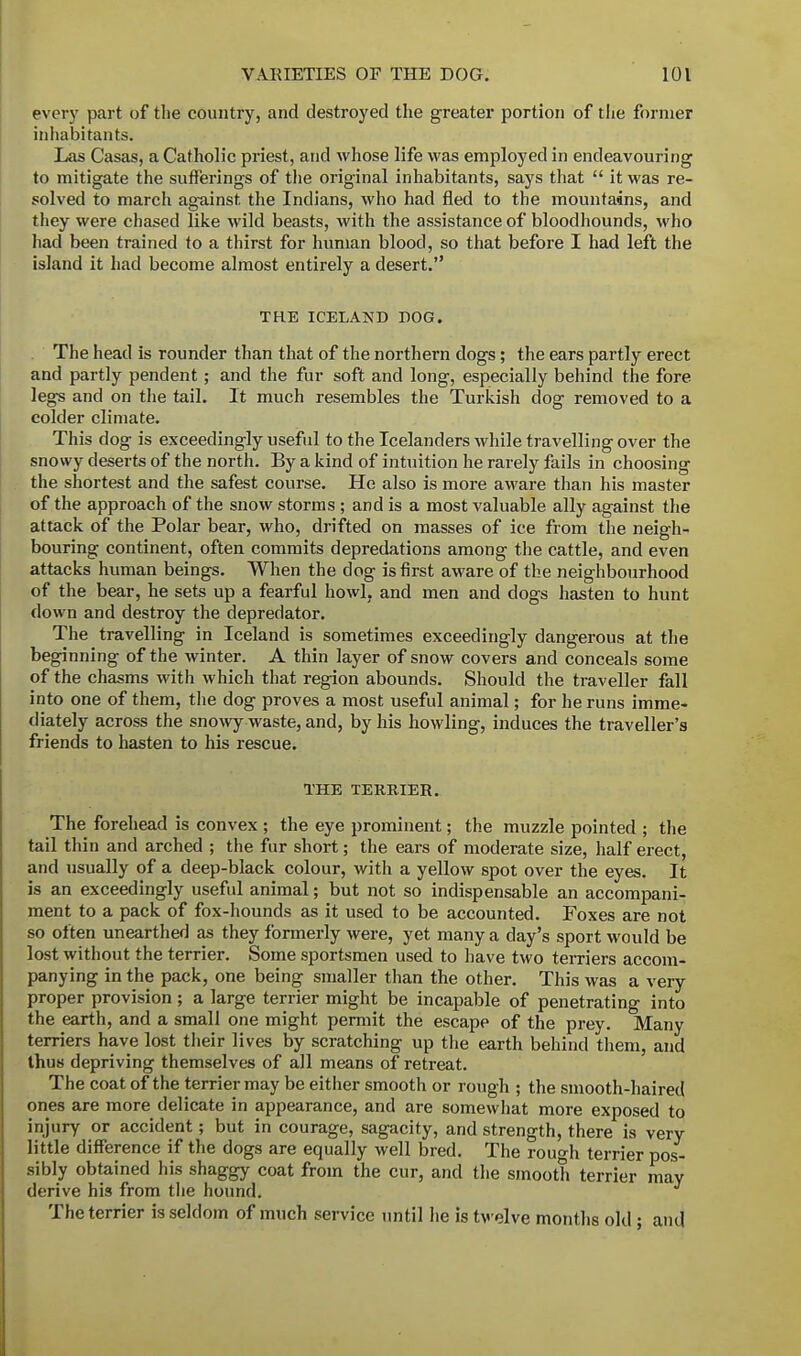 every part of the country, and destroyed the greater portion of the former inhabitants. Las Casas, a Catholic priest, and whose life was employed in endeavouring to mitigate the sufferings of the original inhabitants, says that  it was re- solved to march against the Indians, who had fled to the mountains, and they were chased like wild beasts, with the assistance of bloodhounds, who had been trained to a thirst for human blood, so that before I had left the island it had become almost entirely a desert. THE ICELAND DOG. The head is rounder than that of the northern dogs; the ears partly erect and partly pendent; and the fur soft and long, especially behind the fore legs and on the tail. It much resembles the Turkish dog removed to a colder climate. This dog is exceedingly useful to the Icelanders while travelling over the snowy deserts of the north. By a kind of intuition he rarely fails in choosing the shortest and the safest course. He also is more aware than his master of the approach of the snow storms ; and is a most valuable ally against the attack of the Polar bear, who, drifted on masses of ice from the neigh- bouring continent, often commits depredations among the cattle, and even attacks human beings. When the dog is first aware of the neighbourhood of the bear, he sets up a fearful howl, and men and dogs hasten to hunt down and destroy the depredator. The travelling in Iceland is sometimes exceedingly dangerous at the beginning of the winter. A thin layer of snow covers and conceals some of the chasms with which that region abounds. Should the traveller fall into one of them, the dog proves a most useful animal; for he runs imme- diately across the snowy waste, and, by his howling, induces the traveller's friends to hasten to his rescue. THE TERRIER. The forehead is convex ; the eye prominent; the muzzle pointed ; the tail thin and arched ; the fur short; the ears of moderate size, half erect, and usually of a deep-black colour, with a yellow spot over the eyes. It is an exceedingly useful animal; but not so indispensable an accompani- ment to a pack of fox-hounds as it used to be accounted. Foxes are not so often unearthed as they formerly were, yet many a day's sport would be lost without the terrier. Some sportsmen used to have two terriers accom- panying in the pack, one being smaller than the other. This was a very proper provision ; a large terrier might be incapable of penetrating into the earth, and a small one might permit the escape of the prey. Many terriers have lost their lives by scratching up the earth behind them, and thus depriving themselves of all means of retreat. The coat of the terrier may be either smooth or rough ; the smooth-haired ones are more delicate in appearance, and are somewhat more exposed to injury or accident; but in courage, sagacity, and strength, there is very little difference if the dogs are equally well bred. The rough terrier pos- sibly obtained his shaggy coat from the cur, and the smooth terrier may derive his from the hound. The terrier is seldom of much service until he is twelve months old ; and