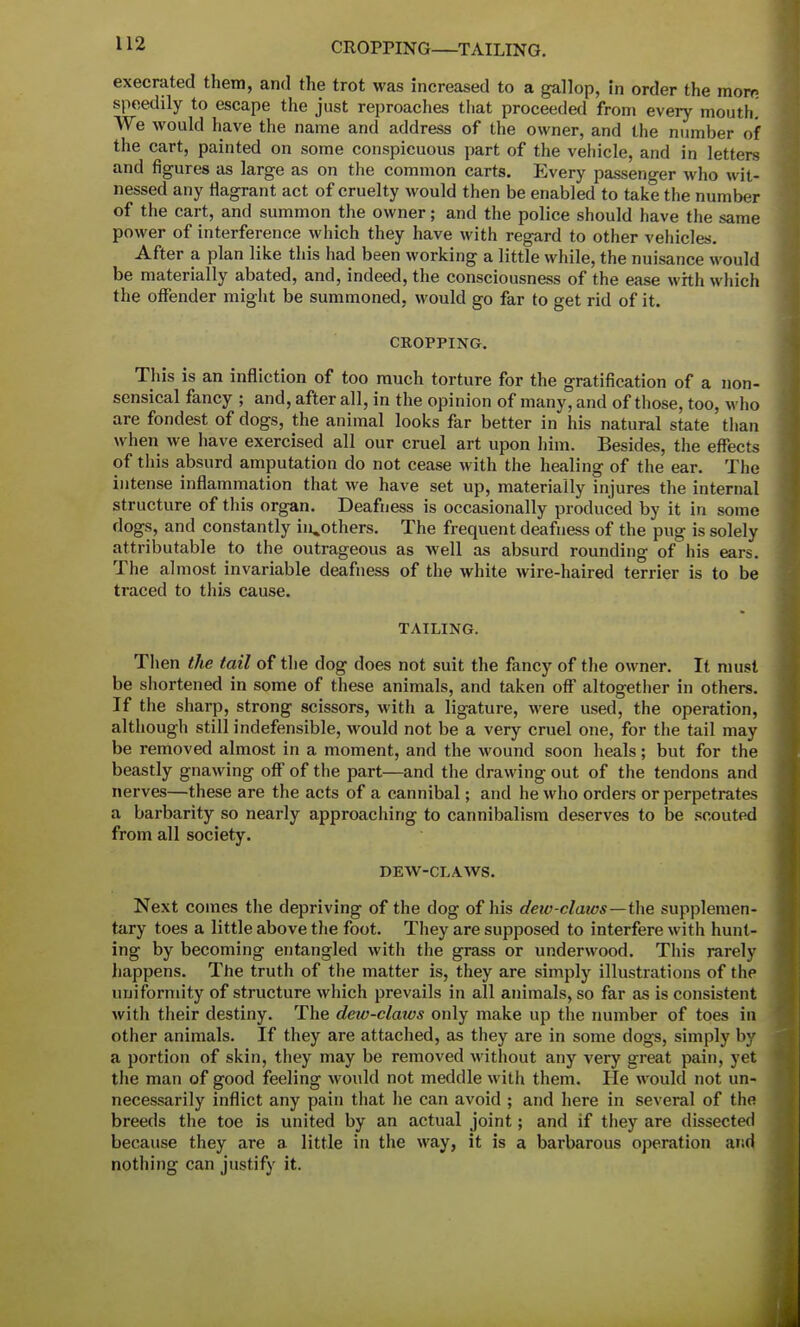 CROPPING—TAILING. execrated them, and the trot was increased to a gallop, in order the mom speedily to escape the just reproaches that proceeded from every mouth. We would have the name and address of the owner, and the number of the cart, painted on some conspicuous part of the vehicle, and in letters and figures as large as on the common carts. Every passenger who wit- nessed any flagrant act of cruelty would then be enabled to take the number of the cart, and summon the owner; and the police should have the same power of interference which they have with regard to other vehicles. After a plan like this had been working a little while, the nuisance would be materially abated, and, indeed, the consciousness of the ease with which the offender might be summoned, would go far to get rid of it. CROPPING. This is an infliction of too much torture for the gratification of a non- sensical fancy ; and, after all, in the opinion of many, and of those, too, who are fondest of dogs, the animal looks far better in his natural state than when we have exercised all our cruel art upon him. Besides, the effects of this absurd amputation do not cease with the healing of the ear. The intense inflammation that we have set up, materially injures the internal structure of this organ. Deafness is occasionally produced by it in some dogs, and constantly brothers. The frequent deafness of the pug is solely attributable to the outrageous as well as absurd rounding of his ears. The almost invariable deafness of the white wire-haired terrier is to be traced to this cause. TAILING. Then the tail of the dog does not suit the fancy of the owner. It must be shortened in some of these animals, and taken off altogether in others. If the sharp, strong scissors, with a ligature, were used, the operation, although still indefensible, would not be a very cruel one, for the tail may be removed almost in a moment, and the wound soon heals; but for the beastly gnawing off of the part—and the drawing out of the tendons and nerves—these are the acts of a cannibal; and he who orders or perpetrates a barbarity so nearly approaching to cannibalism deserves to be scouted from all society. DEW-CLAWS. Next comes the depriving of the dog of his dew-claws—the supplemen- tary toes a little above the foot. They are supposed to interfere with hunt- ing by becoming entangled with the grass or underwood. This rarely happens. The truth of the matter is, they are simply illustrations of the uniformity of structure which prevails in all animals, so far as is consistent with their destiny. The dew-claws only make up the number of toes in other animals. If they are attached, as they are in some dogs, simply by a portion of skin, they may be removed without any very great pain, yet the man of good feeling would not meddle with them. He would not un- necessarily inflict any pain that he can avoid ; and here in several of the breeds the toe is united by an actual joint; and if they are dissected because they are a little in the way, it is a barbarous operation and nothing can justify it.