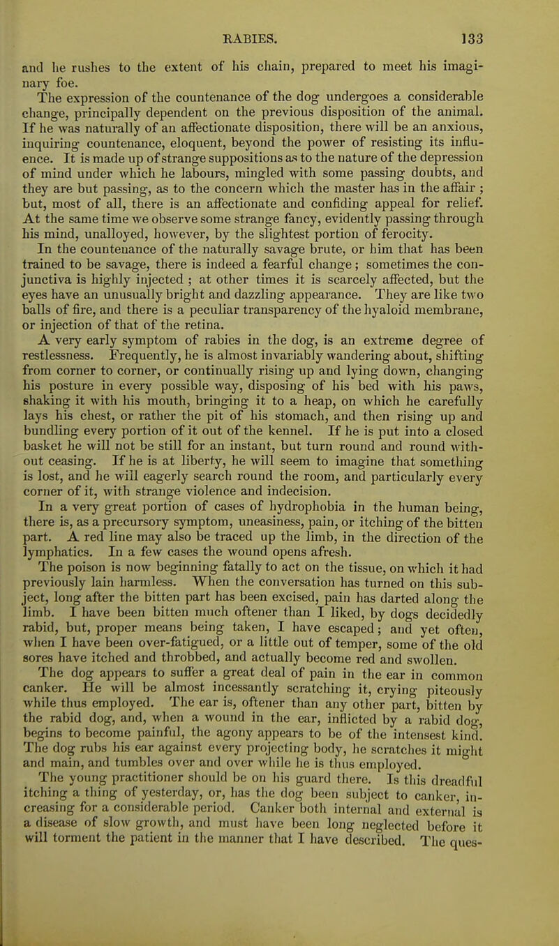 and he rushes to the extent of his chain, prepared to meet his imagi- nary foe. The expression of the countenance of the dog undergoes a considerable change, principally dependent on the previous disposition of the animal. If he was naturally of an affectionate disposition, there will be an anxious, inquiring countenance, eloquent, beyond the power of resisting its influ- ence. It is made up of strange suppositions as to the nature of the depression of mind under which he labours, mingled with some passing doubts, and they are but passing, as to the concern which the master has in the affair ; but, most of all, there is an affectionate and confiding appeal for relief. At the same time we observe some strange fancy, evidently passing through his mind, unalloyed, however, by the slightest portion of ferocity. In the countenance of the naturally savage brute, or him that has been trained to be savage, there is indeed a fearful change; sometimes the con- junctiva is highly injected ; at other times it is scarcely affected, but the eyes have an unusually bright and dazzling appearance. They are like two balls of fire, and there is a peculiar transparency of the hyaloid membrane, or injection of that of the retina. A very early symptom of rabies in the dog, is an extreme degree of restlessness. Frequently, he is almost invariably wandering about, shifting from corner to corner, or continually rising up and lying down, changing his posture in every possible way, disposing of his bed with his paws, shaking it with his mouth, bringing it to a heap, on which he carefully lays his chest, or rather the pit of his stomach, and then rising up and bundling every portion of it out of the kennel. If he is put into a closed basket he will not be still for an instant, but turn round and round with- out ceasing. If he is at liberty, he will seem to imagine that something is lost, and he will eagerly search round the room, and particularly every corner of it, with strange violence and indecision. In a very great portion of cases of hydrophobia in the human being, there is, as a precursory symptom, uneasiness, pain, or itching of the bitten part. A red line may also be traced up the limb, in the direction of the lymphatics. In a few cases the wound opens afresh. The poison is now beginning fatally to act on the tissue, on which it had previously lain harmless. When the conversation has turned on this sub- ject, long after the bitten part has been excised, pain has darted along the limb. I have been bitten much oftener than I liked, by dogs decidedly rabid, but, proper means being taken, I have escaped; and yet often, when I have been over-fatigued, or a little out of temper, some of the old sores have itched and throbbed, and actually become red and swollen. The dog appears to suffer a great deal of pain in the ear in common canker. He will be almost incessantly scratching it, crying piteously while thus employed. The ear is, oftener than any other part, bitten by the rabid dog, and, when a wound in the ear, inflicted by a rabid dog, begins to become painful, the agony appears to be of the intensest kind. The dog rubs his ear against every projecting body, he scratches it might and main, and tumbles over and over while lie is thus employed. The young practitioner should be on his guard there. Is this dreadful itching a thing of yesterday, or, has the dog been subject to canker in- creasing for a considerable period. Canker both internal and external is a disease of slow growth, and must have been long neglected before it will torment the patient in the manner that I have described. The ques-