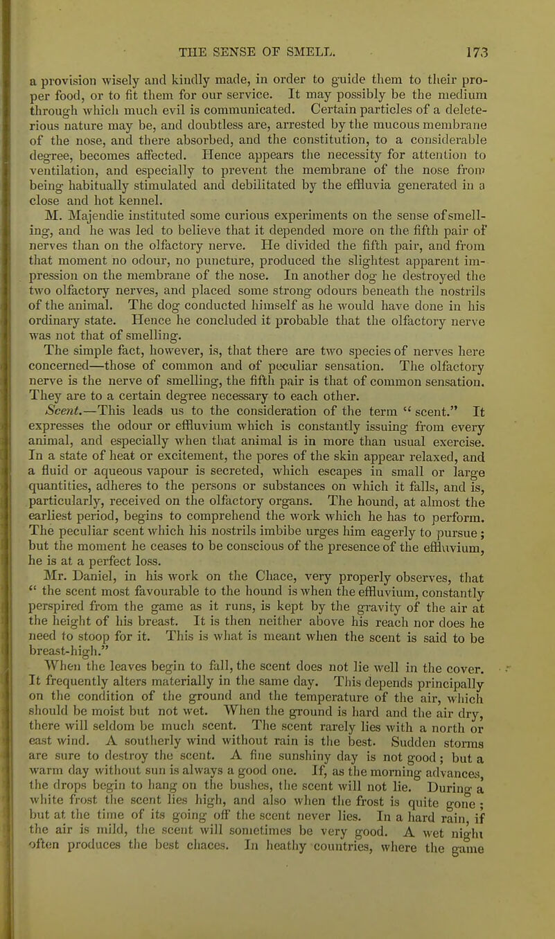a provision wisely and kindly made, in order to guide them to their pro- per food, or to fit them for our service. It may possibly be the medium through which much evil is communicated. Certain particles of a delete- rious nature may be, and doubtless are, arrested by the mucous membrane of the nose, and there absorbed, and the constitution, to a considerable degree, becomes affected. Hence appears the necessity for attention to ventilation, and especially to prevent the membrane of the nose from being habitually stimulated and debilitated by the effluvia generated in a close and hot kennel. M. Majendie instituted some curious experiments on the sense of smell- ing, and he was led to believe that it depended more on the. fifth pair of nerves than on the olfactory nerve. He divided the fifth pair, and from that moment no odour, no puncture, produced the slightest apparent im- pression on the membrane of the nose. In another dog he destroyed the two olfactory nerves, and placed some strong odours beneath the nostrils of the animal. The dog conducted himself as he would have done in his ordinary state. Hence he concluded it probable that the olfactory nerve was not that of smelling. The simple fact, however, is, that there are two species of nerves here concerned—those of common and of peculiar sensation. The olfactory nerve is the nerve of smelling, the fifth pair is that of common sensation. They are to a certain degree necessary to each other. Scent.—This leads us to the consideration of the term scent. It expresses the odour or effluvium which is constantly issuing from every animal, and especially when that animal is in more than usual exercise. In a state of heat or excitement, the pores of the skin appear relaxed, and a fluid or aqueous vapour is secreted, which escapes in small or large quantities, adheres to the persons or substances on which it falls, and is, particularly, received on the olfactory organs. The hound, at almost the earliest period, begins to comprehend the work which he has to perform. The peculiar scent which his nostrils imbibe urges him eagerly to pursue; but the moment he ceases to be conscious of the presence of the effluvium, he is at a perfect loss. Mr. Daniel, in his work on the Chace, very properly observes, that the scent most favourable to the hound is when the effluvium, constantly perspired from the game as it runs, is kept by the gravity of the air at the height of his breast. It is then neither above his reach nor does he need to stoop for it. This is what is meant when the scent is said to be breast-high. When the leaves begin to fall, the scent does not lie well in the cover. It frequently alters materially in the same day. This depends principally on the condition of the ground and the temperature of the air, which should be moist but not wet. When the ground is hard and the air dry, there will seldom be much scent. The scent rarely lies with a north or east wind. A southerly wind without rain is the best. Sudden storms are sure to destroy the scent. A fine sunshiny clay is not good; but a warm day without sun is always a good one. If, as the morning advances the drops begin to hang on the bushes, the scent will not lie. During a white frost the scent lies high, and also when the frost is quite gone ; but at the time of its going off the scent never lies. In a hard rain if the air is mild, the scent will sometimes be very good. A wet nighi often produces the best chaces. In heathy countries, where the game