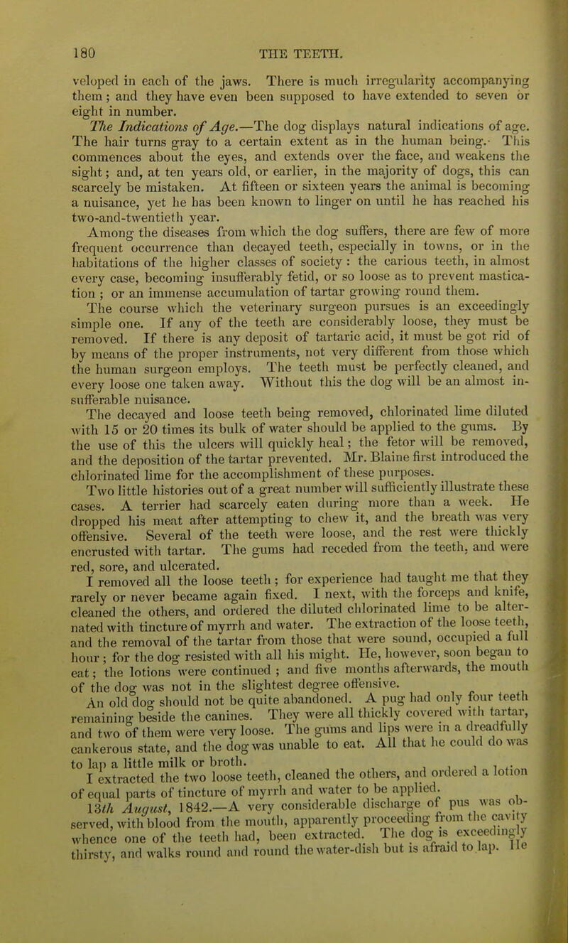 veloped in each of the jaws. There is much irregularity accompanying them; and they have even been supposed to have extended to seven or eight in number. The Indications of Age.—The dog displays natural indications of age. The hair turns gray to a certain extent as in the human being.- This commences about the eyes, and extends over the face, and weakens the sight; and, at ten years old, or earlier, in the majority of dogs, this can scarcely be mistaken. At fifteen or sixteen years the animal is becoming a nuisance, yet he has been known to linger on until he has reached his two-and-twentieth year. Among the diseases from which the dog suffers, there are few of more frequent occurrence than decayed teeth, especially in towns, or in the habitations of the higher classes of society : the carious teeth, in almost every case, becoming insufferably fetid, or so loose as to prevent mastica- tion ; or an immense accumulation of tartar growing round them. The course which the veterinary surgeon pursues is an exceedingly simple one. If any of the teeth are considerably loose, they must be removed. If there is any deposit of tartaric acid, it must be got rid of by means of the proper instruments, not very different from those which the human surgeon employs. The teeth must be perfectly cleaned, and every loose one taken away. Without this the dog will be an almost in- sufferable nuisance. The decayed and loose teeth being removed, chlorinated lime diluted with 15 or 20 times its bulk of water should be applied to the gums. By the use of this the ulcers will quickly heal; the fetor will be removed, and the deposition of the tartar prevented. Mr. Blaine first introduced the chlorinated lime for the accomplishment of these purposes. Two little histories out of a great number will sufficiently illustrate these cases. A terrier had scarcely eaten during more than a week. He dropped his meat after attempting to chew it, and the breath was A ery offensive. Several of the teeth were loose, and the rest were thickly encrusted with tartar. The gums had receded from the teeth, and were red, sore, and ulcerated. I removed all the loose teeth; for experience had taught me that they rarely or never became again fixed. I next, with the forceps and knife, cleaned the others, and ordered the diluted chlorinated lime to be alter- nated with tincture of myrrh and water. The extraction of the loose teeth, and the removal of the tartar from those that were sound, occupied a full hour ; for the dog resisted with all his might. He, however, soon began to eat; the lotions were continued ; and five months afterwards, the mouth of the dog was not in the slightest degree offensive. An old clog should not be quite abandoned. A pug had only four teeth remaining beside the canines. They were all thickly covered with tartar, and two of them were very loose. The gums and lips were in a dreadfully cankerous state, and the dog was unable to eat. All that he could do was to lap a little milk or broth. I extracted the two loose teeth, cleaned the others, and ordered a lotion of equal parts of tincture of myrrh and water to be applied. 13th August, 1842.—A very considerable discharge of pus was ob- served, with blood from the mouth, apparently proceeding from the cavity whence one of the teeth had, been extracted. The dog-is_ exceeding y thirsty, and walks round and round the water-dish but is afraid to lap. lie