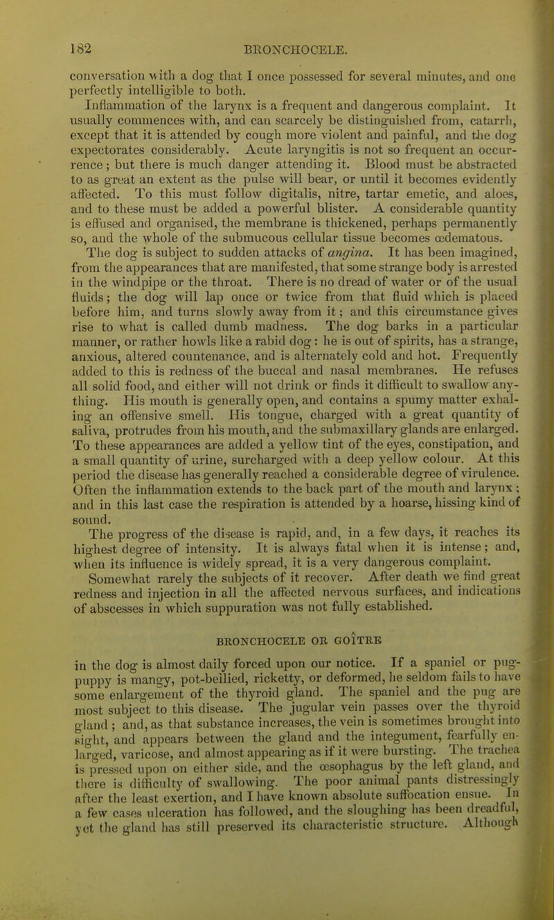 conversation with a dog that I once possessed for several minutes, and one perfectly intelligible to both. Inflammation of the larynx is a frequent and dangerous complaint. It usually commences with, and can scarcely be distinguished from, catarrh, except that it is attended by cough more violent and painful, and the dog expectorates considerably. Acute laryngitis is not so frequent an occur- rence ; but there is much danger attending it. Blood must be abstracted to as great an extent as the pulse will bear, or until it becomes evidently affected. To this must follow digitalis, nitre, tartar emetic, and aloes, and to these must be added a powerful blister. A considerable quantity is effused and organised, the membrane is thickened, perhaps permanently so, and the whole of the submucous cellular tissue becomes cedematous. The clog is subject to sudden attacks of angina. It has been imagined, from the appearances that are manifested, that some strange body is arrested in the windpipe or the throat. There is no dread of water or of the usual fluids; the dog will lap once or twice from that fluid which is placed before him, and turns slowly away from it; and this circumstance gives rise to what is called dumb madness. The dog barks in a particular manner, or rather howls like a rabid dog: he is out of spirits, has a strange, anxious, altered countenance, and is alternately cold and hot. Frequently added to this is redness of the buccal and nasal membranes. He refuses all solid food, and either will not drink or finds it difficult to swallow any- thing. His mouth is generally open, and contains a spumy matter exhal- ing an offensive smell. His tongue, charged with a great quantity of saliva, protrudes from his mouth, and the submaxillary glands are enlarged. To these appearances are added a yellow tint of the eyes, constipation, and a small quantity of urine, surcharged with a deep yellow colour. At this period the disease has generally reached a considerable degree of virulence. Often the inflammation extends to the back part of the mouth and larynx ; and in this last case the respiration is attended by a hoarse, hissing kind of sound. The progress of the disease is rapid, and, in a few days, it reaches its highest degree of intensity. It is always fatal when it is intense; and, when its influence is widely spread, it is a very dangerous complaint. Somewhat rarely the subjects of it recover. After death we find great redness and injection in all the affected nervous surfaces, and indications of abscesses in which suppuration was not fully established. BRONCHOCELE OR GOITRE in the dog is almost daily forced upon our notice. If a spaniel or pug- puppy is mangy, pot-bellied, ricketty, or deformed, lie seldom fails to have some enlargement of the thyroid gland. The spaniel and the pug are most subject to this disease. The jugular vein passes over the thyroid gland ; and, as that substance increases, the vein is sometimes brought into sight, and appears between the gland and the integument, fearfully en- larged, varicose, and almost appearing as if it were bursting. The trachea is pressed upon on either side, and the oesophagus by the left gland, and there is difficulty of swallowing. The poor animal pants distressingly after the least exertion, and I have known absolute suffocation ensue. In a few cases ulceration has followed, and the sloughing has been dreadful, jet the gland has still preserved its characteristic structure. Although