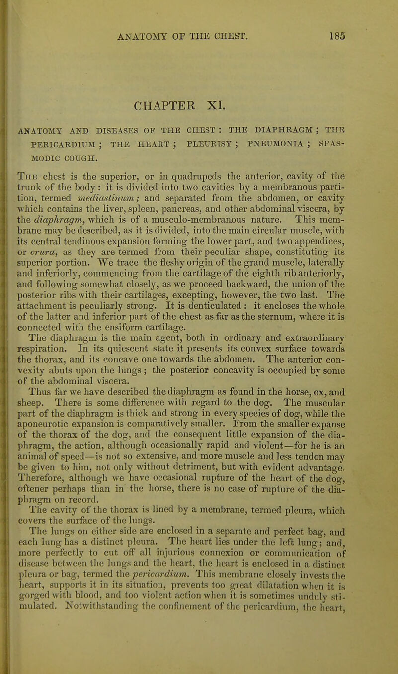 CHAPTER XI. ANATOMY AND DISEASES OF THE CHEST : THE DIAPHRAGM ; THE PERICARDIUM ; THE HEART ; PLEURISY J PNEUMONIA ; SPAS- MODIC COUGH. The chest is the superior, or in quadrupeds the anterior, cavity of the trunk of the body : it is divided into two cavities by a membranous parti- tion, termed mediastinum; and separated from the abdomen, or cavity which contains the liver, spleen, pancreas, and other abdominal viscera, by the diaphragm, which is of a musculo-membranous nature. This mem- brane may be described, as it is divided, into the main circular muscle, with its central tendinous expansion forming the lower part, and two appendices, or crura, as they are termed from their peculiar shape, constituting' its superior portion. We trace the fleshy origin of the grand muscle, laterally and inferiorly, commencing from the cartilage of the eighth rib anteriorly, and following somewhat closely, as we proceed backward, the union of the posterior ribs with their cartilages, excepting, however, the two last. The attachment is peculiarly strong. It is denticulated : it encloses the whole of the latter and inferior part of the chest as far as the sternum, where it is connected with the ensiform cartilage. The diaphragm is the main agent, both in ordinary and extraordinary respiration. In its quiescent state it presents its convex surface towards the thorax, and its concave one towards the abdomen. The anterior con- vexity abuts upon the lungs; the posterior concavity is occupied by some of the abdominal viscera. Thus far we have described the diaphragm as found in the horse, ox, and sheep. There is some difference with regard to the dog. The muscular part of the diaphragm is thick and strong in every species of dog, while the aponeurotic expansion is comparatively smaller. From the smaller expanse of the thorax of the dog, and the consequent little expansion of the dia- phragm, the action, although occasionally rapid and violent—for he is an animal of speed—is not so extensive, and more muscle and less tendon may be given to him, not only without detriment, but with evident advantage. Therefore, although we have occasional rupture of the heart of the dog, oftener perhaps than in the horse, there is no case of rupture of the dia- phragm on record. The cavity of the thorax is lined by a membrane, termed pleura, which covers the surface of the lungs. The lungs on either side are enclosed in a separate and perfect bag, and each lung has a distinct pleura. The heart lies under the left lung; and, more perfectly to cut off all injurious connexion or communication of disease between the lungs and the heart, the heart is enclosed in a distinct pleura or bag, termed the pericardium. This membrane closely invests the heart, supports it in its situation, prevents too great dilatation when it is gorged with blood, and too violent action when it is sometimes unduly sti- mulated. Notwithstanding the confinement of the pericardium, the heart,