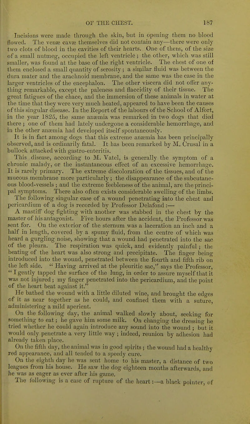 Incisions were made through the skin, but in opening them no blood flowed. The venae cavae themselves did not contain any—there were only- two clots of blood in the cavities of their hearts. One of them, of the size of a small nutmeg, occupied the left ventricle; the other, which was still smaller, was found at the base of the right ventricle. The chest of one of them enclosed a small quantity of serosity ; a similar fluid was between the dura mater and the arachnoid membrane, and the same was the case in the larger ventricles of the encephalon. The other viscera did not offer any- thing remarkable, except the paleness and flaccidity of their tissue. The great fatigues of the chace, and the immersion of these animals in water at the time that they were very much heated, appeared to have been the causes of this singular disease. In the Report of the labours of the School of Alfort, in the year 1825, the same anaemia was remarked in two dogs that died there ; one of them had lately undergone a considerable hemorrhage, and in the other anaemia had developed itself spontaneously. It is in fact among dogs that this extreme anaemia has been principally observed, and is ordinarily fatal. It has been remarked by M. Crusal in a bullock attacked with gastro-enteritis. This disease, according to M. Vatel, is generally the symptom of a chronic malady, or the instantaneous effect of an excessive hemorrhage. It is rarely primary. The extreme discoloration of the tissues, and of the mucous membrane more particularly; the disappearance of the subcutane- ous blood-vessels ; and the extreme feebleness of the animal, are the princi- pal symptoms. There also often exists considerable swelling of the limbs. The following singular case of a wound penetrating into the chest and pericardium of a dog is recorded by Professor Delafond :— A mastiff* dog fighting with another was stabbed in the chest by the master of his antagonist. Five hours after the accident, the Professor was sent for. On the exterior of the sternum was a laceration an inch and a half in length, covered by a spumy fluid, from the centre of which was heard a gurgling noise, showing that a wound had penetrated into the sac of the pleura. The respiration was quick, and evidently painful; the beating of the heart was also strong and precipitate. The finger being introduced into the wound, penetrated between the fourth and fifth rib on the left side.  Having arrived at the pleuritic sac, says the Professor,  I gently tapped the surface of the lung, in order to assure myself that it was not injured; my finger penetrated into the pericardium, and the point of the heart beat against it. He bathed the wound with a little diluted wine, and brought the edges of it as near together as he could, and confined them with a suture, administering a mild aperient. On the following day, the animal walked slowly about, seeking for something to eat; he gave him some milk. On changing the dressing he tried whether he could again introduce any sound into the wound ; but it would only penetrate a very little way ; indeed, reunion by adhesion had already taken place. On the fifth day, the animal was in good spirits; the wound had a healthy red appearance, and all tended to a speedy cure. On the eighth day he was sent home to his master, a distance of two leagues from his house. He saw the dog eighteen months afterwards, and he was as eager as ever after his game. The following is a case of rupture of the heart:—a black pointer, of