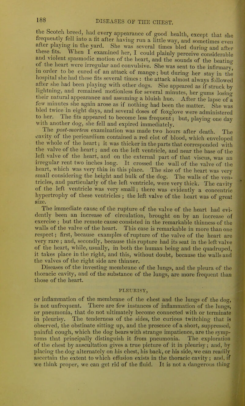 the Scotch breed, had every appearance of good health, except that she frequently fell into a fit after having run a little way, and sometimes even after playing in the yard. She was several times bled during and after these fits. When I examined her, I could plainly perceive considerable and violent spasmodic motion of the heart, and the sounds of the beatino- of the heart were irregular and convulsive. She was sent to the infirmar\° in order to be cured of an attack of mange; but during her stay in tile hospital she had these fits several times : the attack almost always followed after she had been playing with other dogs. She appeared as if struck by lightning, and remained motionless for several minutes, her gums losing their natural appearance and assuming a bluish hue. After the lapse of a few minutes she again arose as if nothing had been the matter. She was bled twice in eight days, and several doses of foxglove were administered to her. The fits appeared to become less frequent; but, playing one day with another clog, she fell and expired immediately. The post-mortem examination was made two hours after death. The cavity of the pericardium contained a red clot of blood, which enveloped the whole of the heart; it was thicker in the parts that corresponded with the valve of the heart; and on the left ventricle, and near the base of the left valve of the heart, and on the external part of that viscus, was an irregular rent two inches long. It crossed the wall of the valve of the heart, which was veiy thin in this place. The size of the heart was very small considering the height and bulk of the dog. The walls of the ven- tricles, and particularly of the left ventricle, were very thick. The cavity of the left ventricle was very small; there was evidently a concentric hypertrophy of these ventricles ; the left valve of the heart was of great size. The immediate cause of the rupture of the valve of the heart had evi- dently been an increase of circulation, brought on by an increase of exercise ; but the remote cause consisted in the remarkable thinness of the walls of the valve of the heart. This case is remarkable in more than one respect; first, because examples of rupture of the valve of the heart are very rare ; and, secondly, because this rupture had its seat in the left valve of the heart, while, usually, in both the human being and the quadruped, it takes place in the right, and this, without doubt, because the walls and the valves of the right side are thinner. Diseases of the investing membrane of the lungs, and the pleura of the thoracic cavity, and of the substance of the lungs, are more frequent than those of the heart. PLEURISY, or inflammation of the membrane of the chest and the lungs of the dog, is not unfrequent. There are few instances of inflammation of the lungs, or pneumonia, that do not ultimately become connected with or terminate in pleurisy. The tenderness of the sides, the curious twitching- that is observed, the obstinate sitting up, and the presence of a short, suppressed, painful cough, which the dog bears with strange impatience, are the symp- toms that principally distinguish it from pneumonia. The exploration of the chest by auscultation gives a true picture of it in pleurisy; and, by placing the dog alternately on his chest, his back, or his side, we can readily ascertain the extent to which effusion exists in the thoracic cavity ; and, if we think proper, we can get rid of the fluid. It is not a dangerous thing