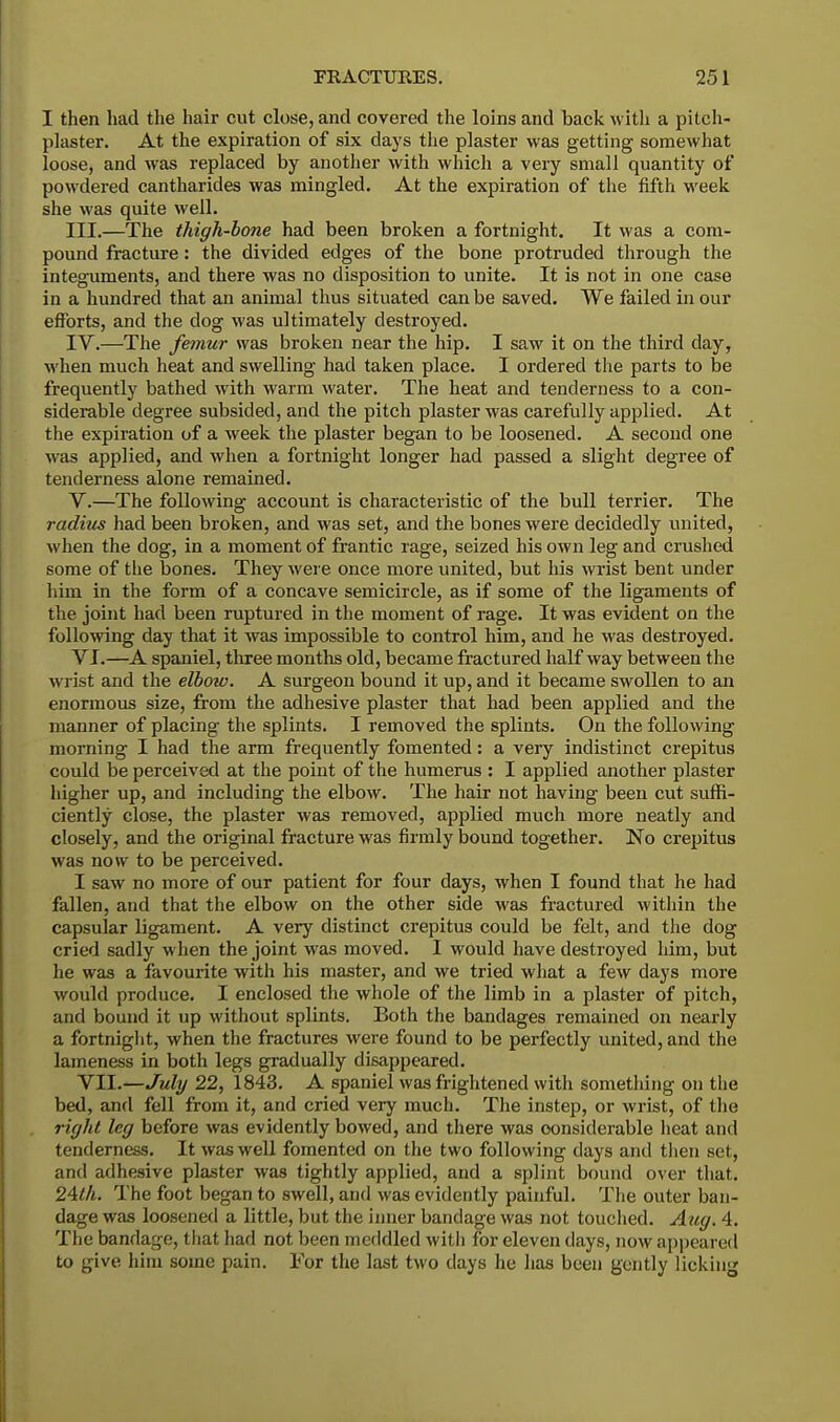 I then had the hair cut close, and covered the loins and back with a pitch- plaster. At the expiration of six days the plaster was getting somewhat loose, and was replaced by another with which a very small quantity of powdered cantharides was mingled. At the expiration of the fifth week she was quite well. III. —The thigh-bone had been broken a fortnight. It was a com- pound fracture: the divided edges of the bone protruded through the integuments, and there was no disposition to unite. It is not in one case in a hundred that an animal thus situated can be saved. We failed in our efforts, and the dog was ultimately destroyed. IV. —The femur was broken near the hip. I saw it on the third clay, when much heat and swelling had taken place. I ordered the parts to be frequently bathed with warm water. The heat and tenderness to a con- siderable degree subsided, and the pitch plaster was carefully applied. At the expiration of a week the plaster began to be loosened. A second one was applied, and when a fortnight longer had passed a slight degree of tenderness alone remained. V. —The following account is characteristic of the bull terrier. The radius had been broken, and was set, and the bones were decidedly united, when the dog, in a moment of frantic rage, seized his own leg and crushed some of the bones. They were once more united, but his wrist bent under him in the form of a concave semicircle, as if some of the ligaments of the joint had been ruptured in the moment of rage. It was evident on the following day that it was impossible to control him, and he was destroyed. VI. —A spaniel, three months old, became fractured half way between the wrist and the elbow. A surgeon bound it up, and it became swollen to an enormous size, from the adhesive plaster that had been applied and the manner of placing the splints. I removed the splints. On the following morning I had the arm frequently fomented: a very indistinct crepitus could be perceived at the point of the humerus : I applied another plaster higher up, and including the elbow. The hair not having been cut suffi- ciently close, the plaster was removed, applied much more neatly and closely, and the original fracture was firmly bound together. No crepitus was now to be perceived. I saw no more of our patient for four days, when I found that he had fallen, and that the elbow on the other side was fractured within the capsular ligament. A very distinct crepitus could be felt, and the dog cried sadly when the joint was moved. I would have destroyed him, but he was a favourite with his master, and we tried what a few days more would produce. I enclosed the whole of the limb in a plaster of pitch, and bound it up without splints. Both the bandages remained on nearly a fortnight, when the fractures were found to be perfectly united, and the lameness in both legs gradually disappeared. VII. —July 22, 1843. A spaniel was frightened with something on the bed, and fell from it, and cried very much. The instep, or wrist, of the right leg before was evidently bowed, and there was considerable heat and tenderness. It was well fomented on the two following days and then set, and adhesive plaster was tightly applied, and a splint bound over that. 24th. The foot began to swell, and was evidently painful. The outer ban- dage was loosened a little, but the inner bandage was not touched. Aug. 4. The bandage, that had not been meddled with for eleven days, now appeared to give him some pain. For the last two days he has been gently licking