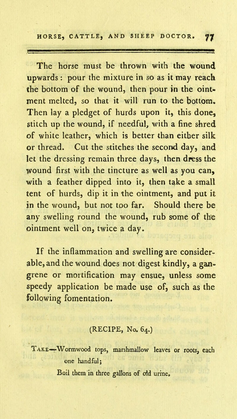The horse must be thrown with the wound upwards : pour the mixture in so as it may reach the bottom of the wound, then pour in the oint- ment melted, so that it will run to the bottom. Then lay a pledget of hurds upon it, this done, stitch up the wound, if needful, with a fine shred of white leather, which is better than either silk, or thread. Cut the stitches the second day, and let the dressing remain three days, then dress the wound first with the tincture as well as you can, with a feather dipped into it, then take a small tent of hurds, dip it in the ointment, and put it in the wound, but not too far. Should there be any swelling round the wound, rub some of the ointment well on, twice a day. If the inflammation and swelling are consider- able, and the wound does not digest kindly, a gan- grene or mortification may ensue, unless some speedy application be made use of, such as the following fomentation. (RECIPE, No. 64.) Take—-Wormwood tops, marshmallow leaves or roots, each one handful; Boil them in three gallons of old urine.