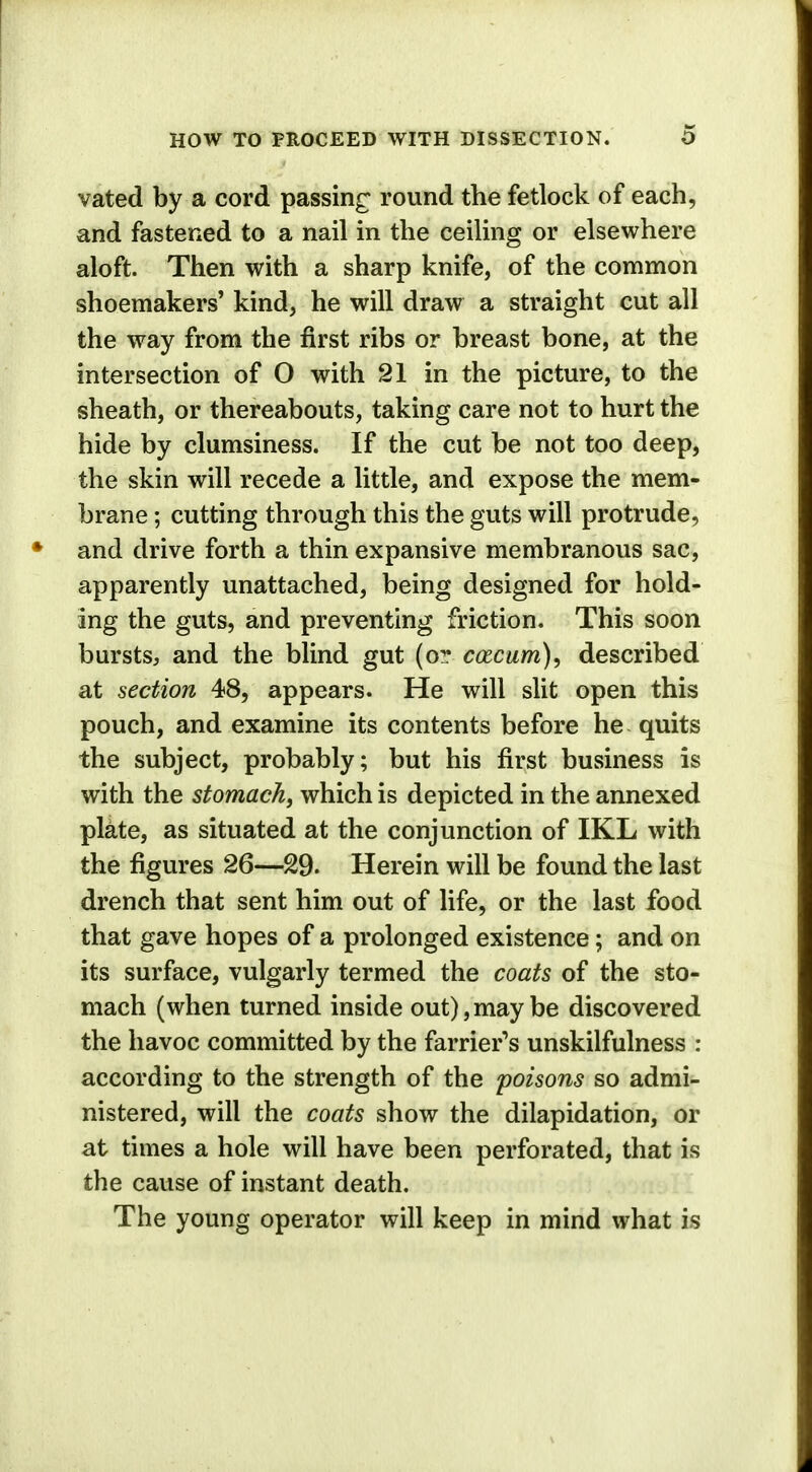 vated by a cord passing round the fetlock of each, and fastened to a nail in the ceiling or elsewhere aloft. Then with a sharp knife, of the common shoemakers' kind, he will draw a straight cut all the way from the first ribs or breast bone, at the intersection of O with 21 in the picture, to the sheath, or thereabouts, taking care not to hurt the hide by clumsiness. If the cut be not too deep, the skin will recede a little, and expose the mem- brane ; cutting through this the guts will protrude, and drive forth a thin expansive membranous sac, apparently unattached, being designed for hold- ing the guts, and preventing friction. This soon bursts, and the blind gut (or cozcum), described at section 48, appears. He will slit open this pouch, and examine its contents before he quits the subject, probably; but his first business is with the stomach, which is depicted in the annexed plate, as situated at the conjunction of IKL with the figures 26—29- Herein will be found the last drench that sent him out of life, or the last food that gave hopes of a prolonged existence; and on its surface, vulgarly termed the coats of the sto- mach (when turned inside out), may be discovered the havoc committed by the farrier's unskilfulness : according to the strength of the poisons so admi- nistered, will the coats show the dilapidation, or at times a hole will have been perforated, that is the cause of instant death. The young operator will keep in mind what is