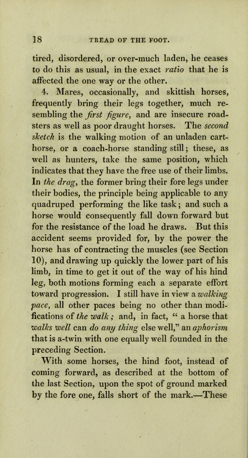 tired, disordered, or over-much laden, he ceases to do this as usual, in the exact ratio that he is affected the one way or the other. 4. Mares, occasionally, and skittish horses, frequently bring their legs together, much re- sembling the first figure, and are insecure road- sters as well as poor draught horses. The second sketch is the walking motion of an unladen cart- horse, or a coach-horse standing still; these, as well as hunters, take the same position, which indicates that they have the free use of their limbs. In the drag, the former bring their fore legs under their bodies, the principle being applicable to any quadruped performing the like task; and such a horse would consequently fall down forward but for the resistance of the load he draws. But this accident seems provided for, by the power the horse has of contracting the muscles (see Section 10), and drawing up quickly the lower part of his limb, in time to get it out of the way of his hind leg, both motions forming each a separate effort toward progression. I still have in view a zvalking pace, all other paces being no other than modi- fications of the walk; and, in fact,  a horse that walks well can do any thing else well, an aphorism that is a-twin with one equally well founded in the preceding Section. With some horses, the hind foot, instead of coming forward, as described at the bottom of the last Section, upon the spot of ground marked by the fore one, falls short of the mark.—These