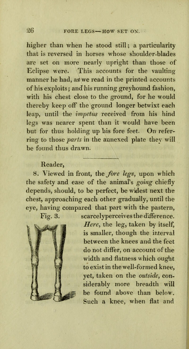 higher than when he stood still; a particularity that is reversed in horses whose shoulder-blades are set on more nearly upright than those of Eclipse were. This accounts for the vaulting manner he had, as we read in the printed accounts of his exploits; and his running greyhound fashion, with his chest close to the ground, for he would thereby keep off the ground longer betwixt each leap, until the impetus received from his hind legs was nearer spent than it would have been but for thus holding up his fore feet. On refer- ring to those parts in the annexed plate they will be found thus drawn. Reader, 8. Viewed in front, the fore legs, upon which the safety and ease of the animars goi?ig chiefly depends, should, to be perfect, be widest next the chest, approaching each other gradually, until the eye, having compared that part with the pastern, Fig. 3. scarcelyperceives the difference. Here, the leg, taken by itself, is smaller, though the interval between the knees and the feet do not differ, on account of the width and flatness which ought to exist in the well-formed knee, yet, taken on the outside, con- siderablv more breadth will be found above than below. Such a knee, when flat and