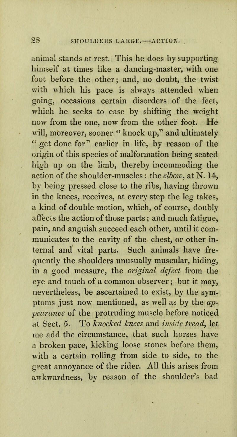 animal stands at rest. This he does by supporting himself at times like a dancing-master, with one foot before the other; and, no doubt, the twist with which his pace is always attended when going, occasions certain disorders of the feet, which he seeks to ease by shifting the weight now from the one, now from the other foot. He will, moreover, sooner  knock up, and ultimately  get done for earlier in life, by reason of the origin of this species of malformation being seated high up on the limb, thereby incommoding the action of the shoulder-muscles: the elbozo, at N. 14, by being pressed close to the ribs, having thrown in the knees, receives, at every step the leg takes, a kind of double motion, which, of course, doubly affects the action of those parts; and much fatigue, pain, and anguish succeed each other, until it com- municates to the cavity of the chest, or other in- ternal and vital parts. Such animals have fre- quently the shoulders unusually muscular, hiding, in a good measure, the original defect from the eye and touch of a common observer; but it may, nevertheless, be ^ascertained to exist, by the sym- ptoms just now mentioned, as well as by the ap- pearance of the protruding muscle before noticed at Sect. 5. To knocked knees and inside tread, let me add the circumstance, that such horses have a broken pace, kicking loose stones before them, with a certain rolling from side to side, to the great annoyance of the rider. All this arises from awkwardness, by reason of the shoulder's bad