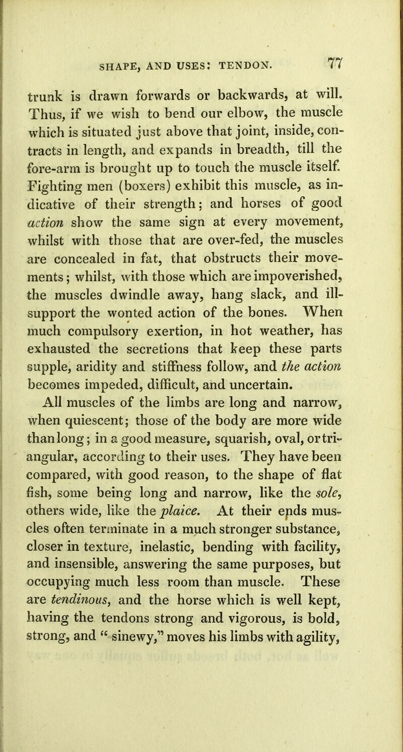 SHAPE, AND USES: TENDON. trunk is drawn forwards or backwards, at will. Thus, if we wish to bend our elbow, the muscle which is situated just above that joint, inside, con- tracts in length, and expands in breadth, till the fore-arm is brought up to touch the muscle itself. Fighting men (boxers) exhibit this muscle, as in- dicative of their strength; and horses of good action show the same sign at every movement, whilst with those that are over-fed, the muscles are concealed in fat, that obstructs their move- ments ; whilst, with those which are impoverished, the muscles dwindle away, hang slack, and ill- support the wonted action of the bones. When much compulsory exertion, in hot weather, has exhausted the secretions that keep these parts supple, aridity and stiffness follow, and the action becomes impeded, difficult, and uncertain. All muscles of the limbs are long and narrow, when quiescent; those of the body are more wide than long; in a good measure, squarish, oval, or tri- angular, according to their uses. They have been compared, with good reason, to the shape of flat fish, some being long and narrow, like the sole, others wide, like the plaice. At their ends mus- cles often terminate in a much stronger substance, closer in texture, inelastic, bending with facility, and insensible, answering the same purposes, but occupying much less room than muscle. These are tendinous, and the horse which is well kept, having the tendons strong and vigorous, is bold, strong, and  sinewy, moves his limbs with agility,