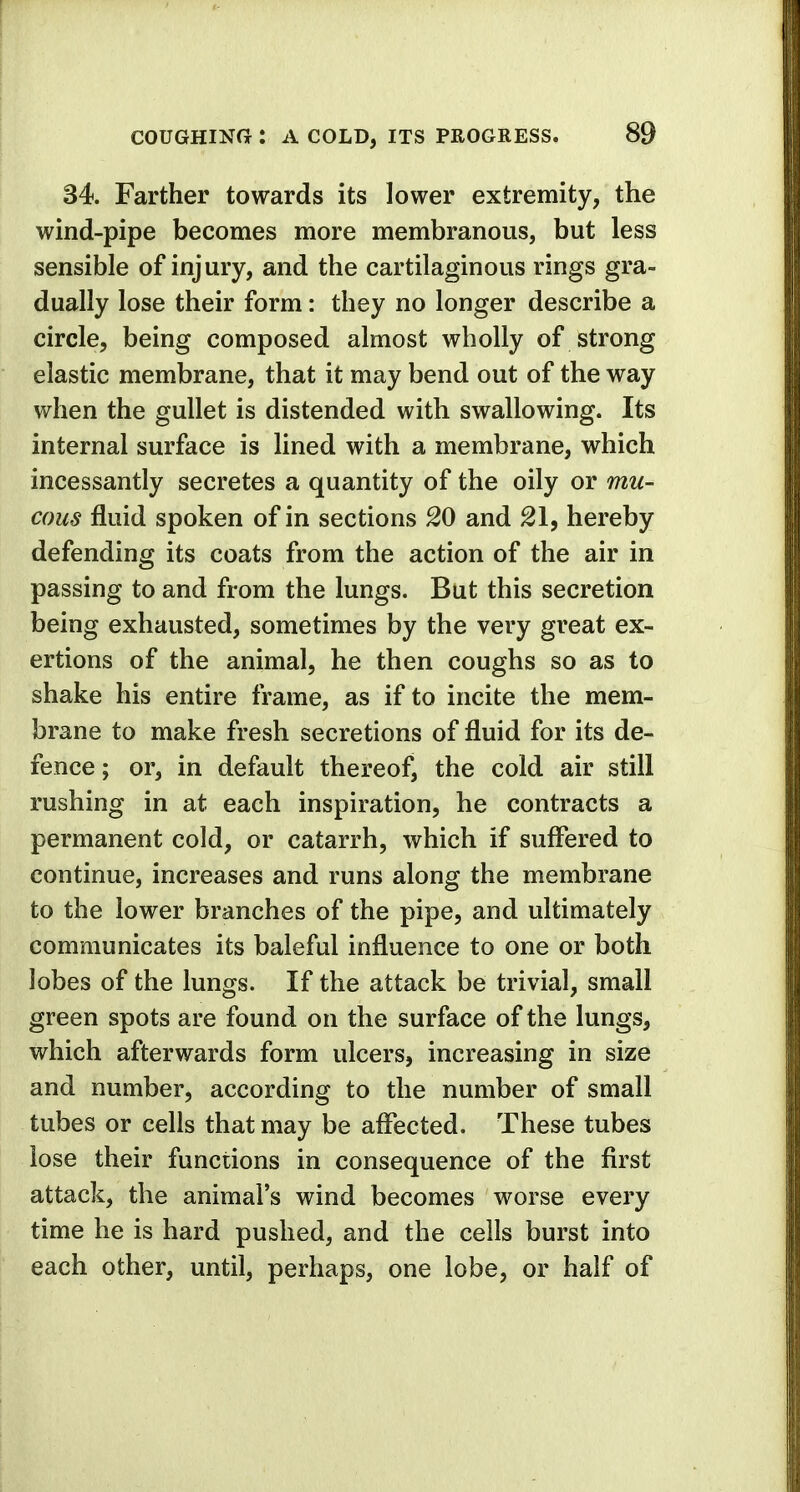 34. Farther towards its lower extremity, the wind-pipe becomes more membranous, but less sensible of injury, and the cartilaginous rings gra- dually lose their form: they no longer describe a circle, being composed almost wholly of strong elastic membrane, that it may bend out of the way when the gullet is distended with swallowing. Its internal surface is lined with a membrane, which incessantly secretes a quantity of the oily or mu- cous fluid spoken of in sections 20 and 21, hereby defending its coats from the action of the air in passing to and from the lungs. But this secretion being exhausted, sometimes by the very great ex- ertions of the animal, he then coughs so as to shake his entire frame, as if to incite the mem- brane to make fresh secretions of fluid for its de- fence ; or, in default thereof, the cold air still rushing in at each inspiration, he contracts a permanent cold, or catarrh, which if suffered to continue, increases and runs along the membrane to the lower branches of the pipe, and ultimately communicates its baleful influence to one or both lobes of the lungs. If the attack be trivial, small green spots are found on the surface of the lungs, which afterwards form ulcers, increasing in size and number, according to the number of small tubes or cells that may be affected. These tubes lose their functions in consequence of the first attack, the animal's wind becomes worse every time he is hard pushed, and the cells burst into each other, until, perhaps, one lobe, or half of