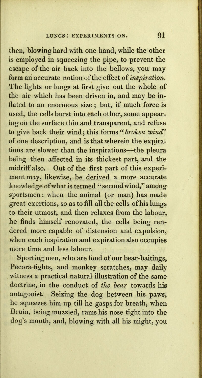 then, blowing hard with one hand, while the other is employed in squeezing the pipe, to prevent the escape of the air back into the bellows, you may form an accurate notion of the effect of inspiration. The lights or lungs at first give out the whole of the air which has been driven in, and may be in- flated to an enormous size ; but, if much force is used, the cells burst into each other, some appear- ing on the surface thin and transparent, and refuse to give back their wind; this forms  broken wind of one description, and is that wherein the expira- tions are slower than the inspirations—the pleura being then affected in its thickest part, and the midriff also. Out of the first part of this experi- ment may, likewise, be derived a more accurate knowledge of what is termed  second wind,'1 among sportsmen: when the animal (or man) has made great exertions, so as to fill all the cells of his lungs to their utmost, and then relaxes from the labour, he finds himself renovated, the cells being ren- dered more capable of distension and expulsion, when each inspiration and expiration also occupies more time and less labour. Sporting men, who are fond of our bear-baitings, Pecora-fights, and monkey scratches, may daily witness a practical natural illustration of the same doctrine, in the conduct of the bear towards his antagonist. Seizing the dog between his paws, he squeezes him up till he gasps for breath, when Bruin, being muzzled, rams his nose tight into the dog^s mouth, and, blowing with all his might, you