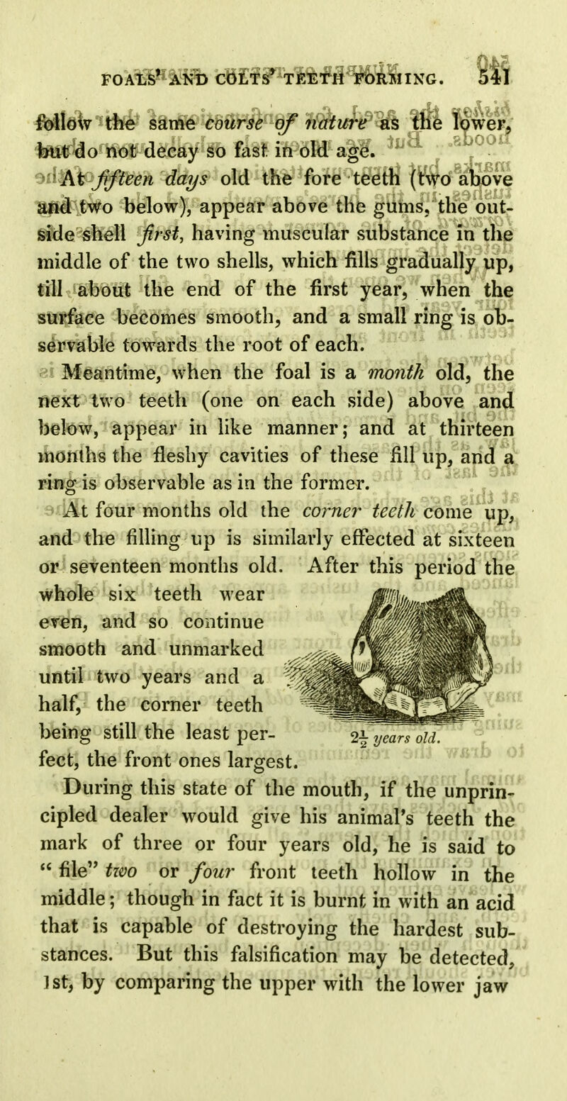 follow the same course of nature as the lower, but do not decay so fast in old age. • At fifteen days old the fore teeth (two above and two below), appear above the gums, the out- side shell first, having muscular substance in the middle of the two shells, which fills gradually up, till about the end of the first year, when the surface becomes smooth, and a small ring is ob- servable towards the root of each. Meantime, when the foal is a month old, the next two teeth (one on each side) above and below, appear in like manner; and at thirteen months the fleshy cavities of these fill up, and a ring is observable as in the former. At four months old the corner teeth come up, and the filling up is similarly effected at sixteen or seventeen months old. After this period the whole six teeth wear eren, and so continue smooth and unmarked until two years and a half, the corner teeth being still the least per- %'yeaklit feet, the front ones largest. During this state of the mouth, if the unprin- cipled dealer would give his animal's teeth the mark of three or four years old, he is said to  file two or four front teeth hollow in the middle; though in fact it is burnt in with an acid that is capable of destroying the hardest sub- stances. But this falsification may be detected, 1st, by comparing the upper with the lower jaw