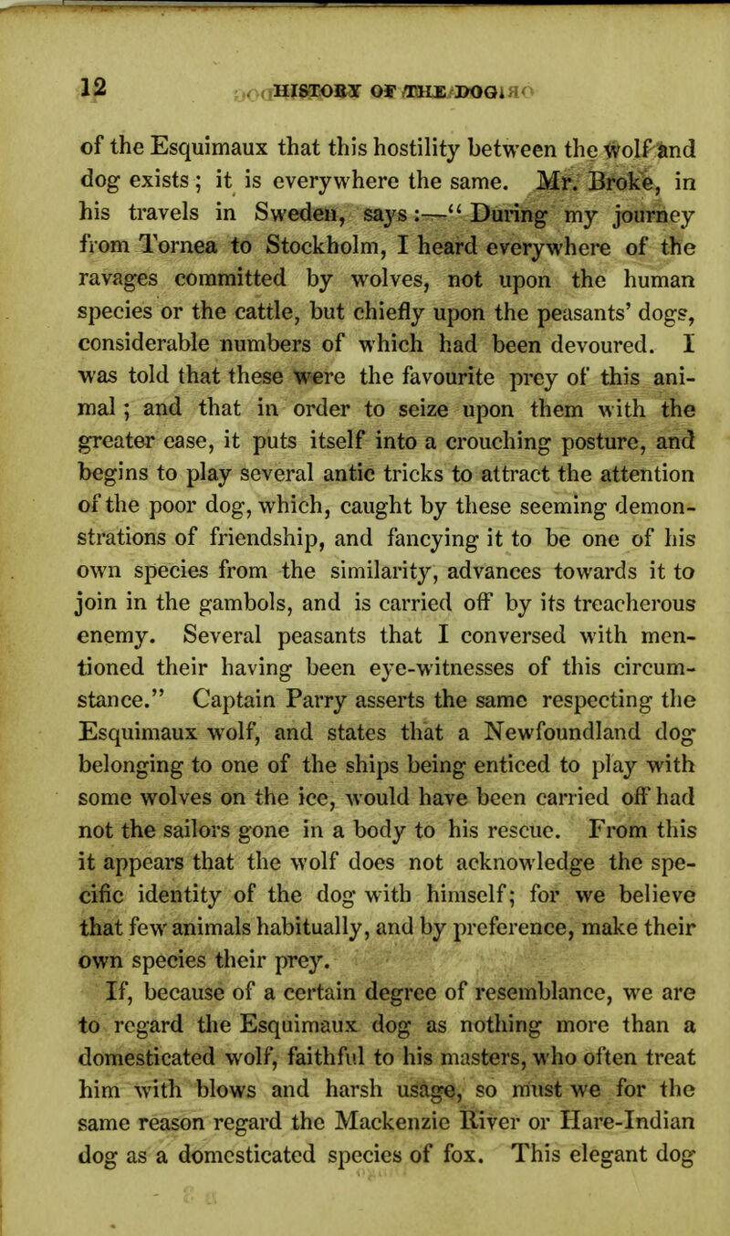 of the Esquimaux that this hostility between the wolf and dog exists ; it is everywhere the same. Mr. Broke, in his travels in Sweden, says:—During my journey from Tornea to Stockholm, I heard everywhere of the ravages committed by wolves, not upon the human species or the cattle, but chiefly upon the peasants' dogs, considerable numbers of which had been devoured. I was told that these were the favourite prey of this ani- mal ; and that in order to seize upon them with the greater ease, it puts itself into a crouching posture, and begins to play several antic tricks to attract the attention of the poor dog, which, caught by these seeming demon- strations of friendship, and fancying it to be one of his own species from the similarity, advances towards it to join in the gambols, and is carried off by its treacherous enemy. Several peasants that I conversed with men- tioned their having been eye-witnesses of this circum- stance. Captain Parry asserts the same respecting the Esquimaux wolf, and states that a Newfoundland dog- belonging to one of the ships being enticed to play with some wolves on the ice, would have been carried off had not the sailors gone in a body to his rescue. From this it appears that the wolf does not acknowledge the spe- cific identity of the dog with himself; for we believe that few animals habitually, and by preference, make their own species their prey. If, because of a certain degree of resemblance, we are to regard the Esquimaux dog as nothing more than a domesticated wolf, faithful to his masters, who often treat him with blows and harsh usage, so must we for the same reason regard the Mackenzie River or Hare-Indian dog as a domesticated species of fox. This elegant dog