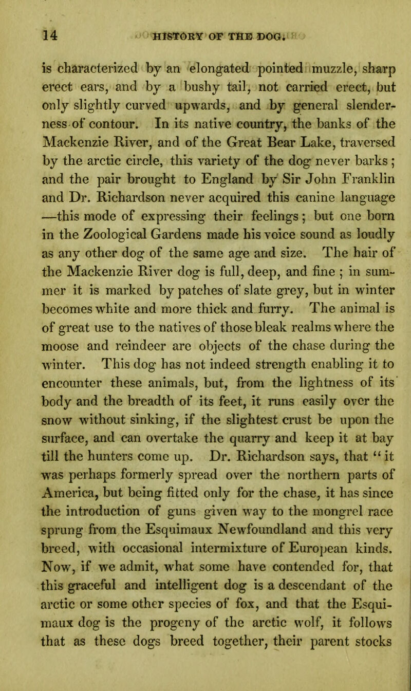 is characterized by an elongated pointed muzzle, sharp erect ears, and by a bushy tail, not carried erect, but only slightly curved upwards, and by general slender- ness of contour. In its native country, the banks of the Mackenzie River, and of the Great Bear Lake, traversed by the arctic circle, this variety of the dog never barks ; and the pair brought to England by Sir John Franklin and Dr. Richardson never acquired this canine language —this mode of expressing their feelings; but one born in the Zoological Gardens made his voice sound as loudly as any other dog of the same age and size. The hair of the Mackenzie River dog is full, deep, and fine ; in sum- mer it is marked by patches of slate grey, but in winter becomes white and more thick and furry. The animal is of great use to the natives of those bleak realms where the moose and reindeer are objects of the chase during the winter. This dog has not indeed strength enabling it to encounter these animals, but, from the lightness of its body and the breadth of its feet, it runs easily over the snow without sinking, if the slightest crust be upon the surface, and can overtake the quarry and keep it at bay till the hunters come up. Dr. Richardson says, that  it was perhaps formerly spread over the northern parts of America, but being fitted only for the chase, it has since the introduction of guns given way to the mongrel race sprung from the Esquimaux Newfoundland and this very breed, with occasional intermixture of European kinds. Now, if we admit, what some have contended for, that this graceful and intelligent dog is a descendant of the arctic or some other species of fox, and that the Esqui- maux dog is the progeny of the arctic wolf, it follows that as these dogs breed together, their parent stocks