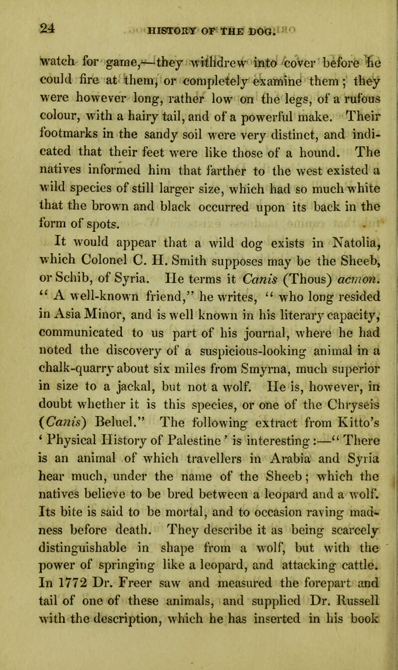 watch for game,—they withdrew into cover before 'he could fire at them, or completely examine them ; they were however long, rather low on the legs, of a rufous colour, with a hairy tail, and of a powerful make. Their footmarks in the sandy soil were very distinct, and indi- cated that their feet were like those of a hound. The natives informed him that farther to the west existed a wild species of still larger size, which had so much white that the brown and black occurred upon its back in the form of spots. It would appear that a wild dog exists in Natolia, which Colonel C. H. Smith supposes may be the Sheeb, or Schib, of Syria. He terms it Cams (Thous) acmon.  A well-known friend, he writes,  who long resided in Asia Minor, and is well known in his literary capacity, communicated to us part of his journal, where he had noted the discovery of a suspicious-looking animal in a chalk-quarry about six miles from Smyrna, much superior in size to a jackal, but not a wolf. He is, however, in doubt whether it is this species, or one of the Chryseis (Cams) Beluel. The following extract from Kitto's i Physical History of Palestine ' is interesting :— There is an animal of which travellers in Arabia and Syria hear much, under the name of the Sheeb; which the natives believe to be bred between a leopard and a wolf. Its bite is said to be mortal, and to occasion raving mad- ness before death. They describe it as being scarcely distinguishable in shape from a wolf, but with the power of springing like a leopard, and attacking cattle. In 1772 Dr. Freer saw and measured the forepart and tail of one of these animals, and supplied Dr. Russell with the description, which he has inserted in his book