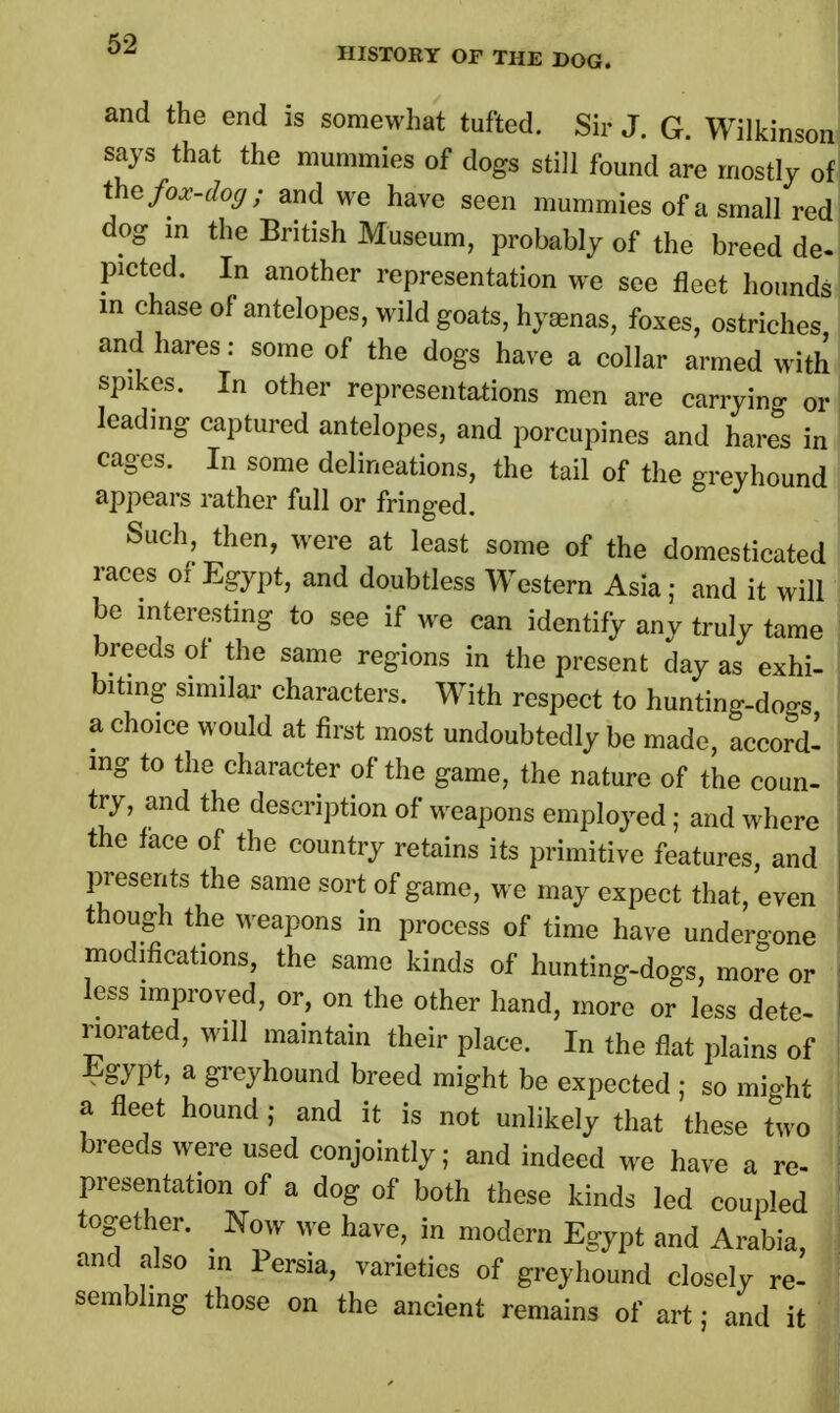 and the end is somewhat tufted. Sir J. G. Wilkinson says that the mummies of dogs still found are mostly of the fox-dog; and we have seen mummies of a small red dog in the British Museum, probably of the breed de- picted. In another representation we see fleet hounds m chase of antelopes, wild goats, hyaenas, foxes, ostriches and hares: some of the dogs have a collar armed with spikes. In other representations men are carrying 0r leading captured antelopes, and porcupines and hares in cages. In some delineations, the tail of the greyhound appears rather full or fringed. Such, then, were at least some of the domesticated races of Egypt, and doubtless Western Asia; and it will be interesting to see if we can identify any truly tame breeds of the same regions in the present day as exhi- biting similar characters. With respect to hunting-dogs a choice would at first most undoubtedly be made, accord- ing to the character of the game, the nature of the coun- try, and the description of weapons employed; and where the face of the country retains its primitive features, and presents the same sort of game, we may expect that, even though the weapons in process of time have undergone modifications, the same kinds of hunting-dogs, more or less improved, or, on the other hand, more or less dete- riorated, will maintain their place. In the flat plains of Egypt, a greyhound breed might be expected ; so might a fleet hound; and it is not unlikely that these two breeds were used conjointly; and indeed we have a re- presentation of a dog of both these kinds led coupled together. Now we have, in modern Egypt and Arabia, and also in Persia, varieties of greyhound closely re- sembling those on the ancient remains of art; and it