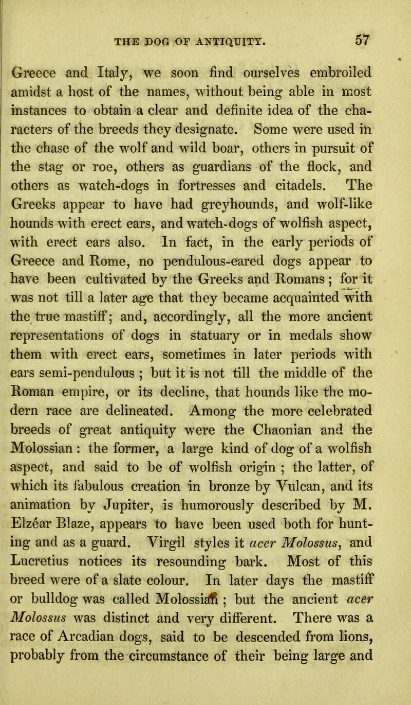 j Greece and Italy, we soon find ourselves embroiled | amidst a host of the names, without being able in most I instances to obtain a clear and definite idea of the cha- racters of the breeds they designate. Some were used in I the chase of the wolf and wild boar, others in pursuit of the stag or roe, others as guardians of the flock, and others as watch-dogs in fortresses and citadels. The Greeks appear to have had greyhounds, and wolf-like hounds with erect ears, and watch-dogs of wolfish aspect, with erect ears also. In fact, in the early periods of Greece and Rome, no pendulous-eared dogs appear to have been cultivated by the Greeks and Romans ; for it was not till a later age that they became acquainted with the true mastiff; and, accordingly, all the more ancient representations of dogs in statuary or in medals show them with erect ears, sometimes in later periods with ears semi-pendulous ; but it is not till the middle of the Roman empire, or its decline, that hounds like the mo- dern race are delineated. Among the more celebrated breeds of great antiquity were the Chaonian and the Molossian : the former, a large kind of dog of a wolfish aspect, and said to be of wolfish origin ; the latter, of which its fabulous creation in bronze by Vulcan, and its animation by Jupiter, is humorously described by M. Elzear Blaze, appears to have been used both for hunt- ing and as a guard. Virgil styles it acer Molossus, and Lucretius notices its resounding bark. Most of this breed were of a slate colour. In later days the mastiff or bulldog was called Molossiali; but the ancient acer Molossus was distinct and very different. There was a race of Arcadian dogs, said to be descended from lions, probably from the circumstance of their being large and