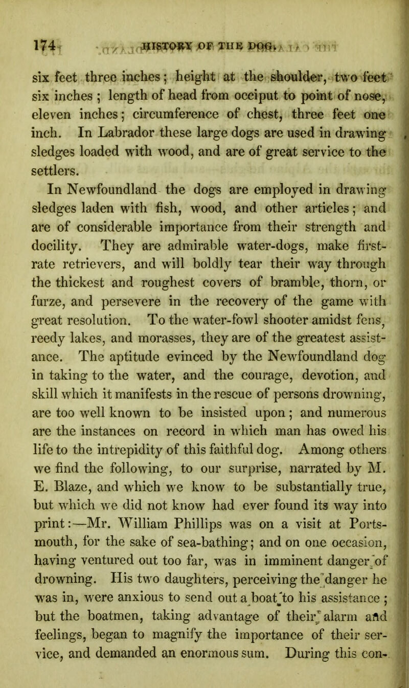 six feet three inches; height at the shoulder, two feet six inches ; length of head from occiput to point of nose, eleven inches; circumference of chest, three feet one inch. In Labrador these large dogs are used in drawing sledges loaded with wood, and are of great service to the settlers. In Newfoundland the dogs are employed in drawing sledges laden with fish, wood, and other articles; and are of considerable importance from their strength and docility. They are admirable water-dogs, make first- rate retrievers, and will boldly tear their way through the thickest and roughest covers of bramble, thorn, or furze, and persevere in the recovery of the game with great resolution. To the wrater-fowl shooter amidst fens, reedy lakes, and morasses, they are of the greatest assist- ance. The aptitude evinced by the Newfoundland dog in taking to the water, and the courage, devotion, and skill which it manifests in the rescue of persons drowning, are too well known to be insisted upon; and numerous are the instances on record in which man has owed his life to the intrepidity of this faithful dog. Among others we find the following, to our surprise, narrated by M. E. Blaze, and which we know to be substantially true, but which we did not know had ever found its way into print:—Mr. William Phillips was on a visit at Ports- mouth, for the sake of sea-bathing; and on one occasion, having ventured out too far, was in imminent danger of drowning. His two daughters, perceiving the'danger lie was in, were anxious to send out a boatjto his assistance ; but the boatmen, taking advantage of theirj alarm and feelings, began to magnify the importance of their ser- vice, and demanded an enormous sum. During this con-