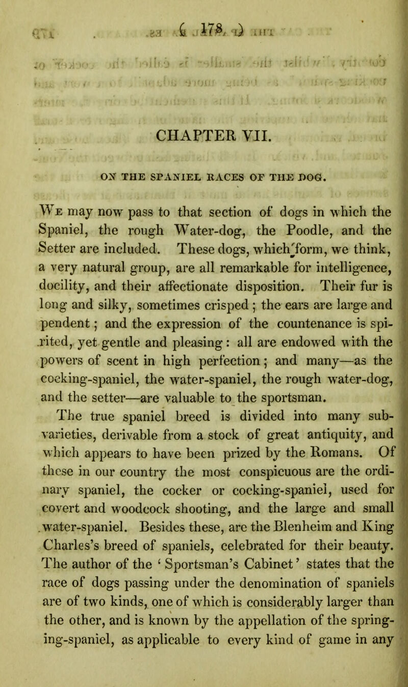 CHAPTER VII. OX THE SPANIEL RACES OF THE DOG. We may now pass to that section of* dogs in which the Spaniel, the rough Water-dog, the Poodle, and the Setter are included. These dogs, whichTorm, we think, a very natural group, are all remarkable for intelligence, docility, and their affectionate disposition. Their fur is long and silky, sometimes crisped ; the ears are large and pendent; and the expression of the countenance is spi- rited, yet gentle and pleasing: all are endowed with the powers of scent in high perfection; and many—as the cocking-spaniel, the water-spaniel, the rough water-dog, and the setter—are valuable to the sportsman. The true spaniel breed is divided into many sub- varieties, derivable from a stock of great antiquity, and which appears to have been prized by the Romans. Of these in our country the most conspicuous are the ordi- nary spaniel, the cocker or cocking-spaniel, used for covert and woodcock shooting, and the large and small water-spaniel. Besides these, are the Blenheim and King Charles's breed of spaniels, celebrated for their beauty. The author of the ' Sportsman's Cabinet' states that the race of dogs passing under the denomination of spaniels are of two kinds, one of which is considerably larger than the other, and is known by the appellation of the spring- ing-spaniel, as applicable to every kind of game in any