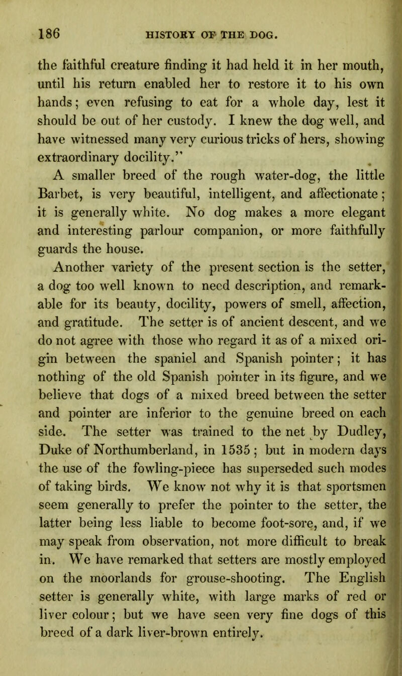 the faithful creature finding it had held it in her mouth, until his return enabled her to restore it to his own hands; even refusing to eat for a whole day, lest it should be out of her custody. I knew the dog well, and have witnessed many very curious tricks of hers, showing extraordinary docility. A smaller breed of the rough water-dog, the little Barbet, is very beautiful, intelligent, and affectionate; it is generally white. No dog makes a more elegant and interesting parlour companion, or more faithfully guards the house. Another variety of the present section is the setter, a dog too well known to need description, and remark- able for its beauty, docility, powers of smell, affection, and gratitude. The setter is of ancient descent, and we do not agree with those who regard it as of a mixed ori- gin between the spaniel and Spanish pointer; it has nothing of the old Spanish pointer in its figure, and we believe that dogs of a mixed breed between the setter and pointer are inferior to the genuine breed on each side. The setter was trained to the net by Dudley, Duke of Northumberland, in 1535; but in modern days the use of the fowling-piece has superseded such modes of taking birds. We know not why it is that sportsmen seem generally to prefer the pointer to the setter, the latter being less liable to become foot-sore, and, if we may speak from observation, not more difficult to break in. We have remarked that setters are mostly employed on the moorlands for grouse-shooting. The English setter is generally white, with large marks of red or liver colour; but we have seen very fine dogs of this breed of a dark liver-brown entirely.
