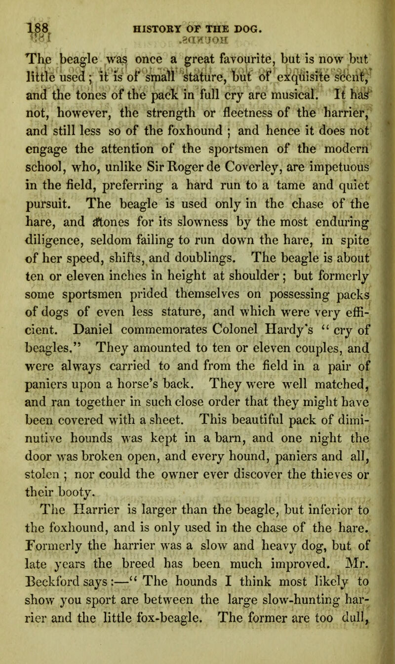 W?J .8a?IUOH The beagle was once a great favourite, but is now but little used ; it is of small stature, but of exquisite scent, and the tones of the pack in full cry are musical. It has not, however, the strength or fleetness of the harrier, and still less so of the foxhound ; and hence it does not engage the attention of the sportsmen of the modern school, who, unlike Sir Roger de Coverley, are impetuous in the field, preferring a hard run to a tame and quiet pursuit. The beagle is used only in the chase of the hare, and atones for its slowness by the most enduring diligence, seldom failing to run down the hare, in spite of her speed, shifts, and doublings. The beagle is about ten or eleven inches in height at shoulder; but formerly some sportsmen prided themselves on possessing packs of dogs of even less stature, and which were very effi- cient. Daniel commemorates Colonel Hardy's  cry of beagles. They amounted to ten or eleven couples, and were always carried to and from the field in a pair of paniers upon a horse's back. They were well matched, and ran together in such close order that they might have been covered with a sheet. This beautiful pack of dimi- nutive hounds was kept in a barn, and one night the door was broken open, and every hound, paniers and all, stolen ; nor could the owner ever discover the thieves or their booty. The Harrier is larger than the beagle, but inferior to the foxhound, and is only used in the chase of the hare. Formerly the harrier was a slow and heavy dog, but of late years the breed has been much improved. Mr. Beckford says:— The hounds I think most likely to show you sport are between the large slow-hunting har- rier and the little fox-beagle. The former are too dull,
