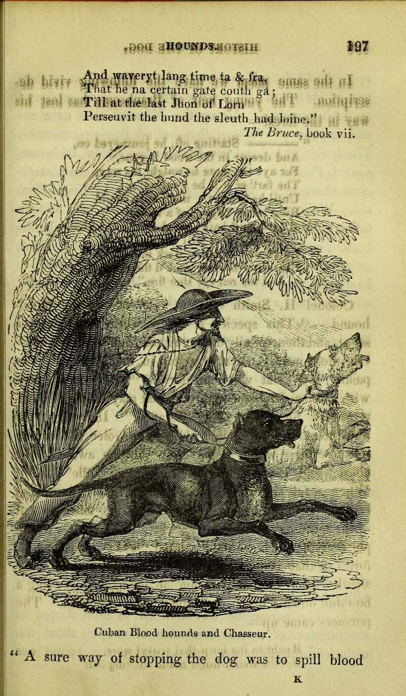 That he na certain gate couth ga : Till at the last Jhon of Lorn Perseuvit the hund the sleuth had loine. Cuban Blood hounds and Chasseur.  A sure way of stopping the dog was to spill blood K