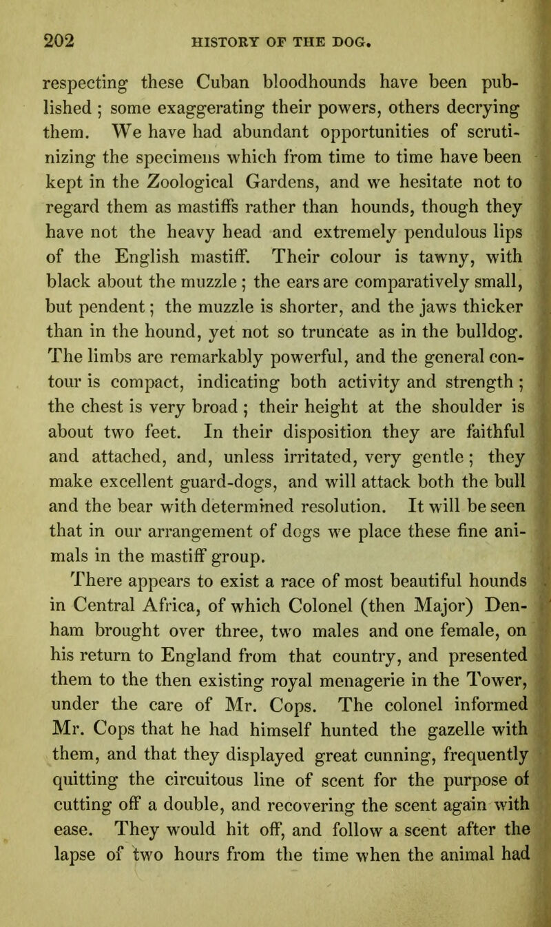 respecting these Cuban bloodhounds have been pub- lished ; some exaggerating their powers, others decrying them. We have had abundant opportunities of scruti- nizing the specimens which from time to time have been kept in the Zoological Gardens, and we hesitate not to regard them as mastiffs rather than hounds, though they have not the heavy head and extremely pendulous lips of the English mastiff. Their colour is tawny, with black about the muzzle ; the ears are comparatively small, but pendent; the muzzle is shorter, and the jaws thicker than in the hound, yet not so truncate as in the bulldog. The limbs are remarkably powerful, and the general con- tour is compact, indicating both activity and strength ; the chest is very broad ; their height at the shoulder is about two feet. In their disposition they are faithful and attached, and, unless irritated, very gentle; they make excellent guard-dogs, and will attack both the bull and the bear with determined resolution. It will be seen that in our arrangement of dogs we place these fine ani- mals in the mastiff group. There appears to exist a race of most beautiful hounds in Central Africa, of which Colonel (then Major) Den- ham brought over three, two males and one female, on his return to England from that country, and presented them to the then existing royal menagerie in the Tower, under the care of Mr. Cops. The colonel informed Mr. Cops that he had himself hunted the gazelle with them, and that they displayed great cunning, frequently quitting the circuitous line of scent for the purpose of cutting off a double, and recovering the scent again with ease. They would hit off, and follow a scent after the lapse of two hours from the time when the animal had