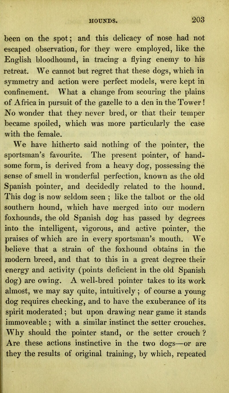 been on the spot; and this delicacy of nose had not escaped observation, for they were employed, like the English bloodhound, in tracing a flying enemy to his retreat. We cannot but regret that these dogs, which in symmetry and action were perfect models, were kept in confinement. What a change from scouring the plains of Africa in pursuit of the gazelle to a den in the Tower! No wonder that they never bred, or that their temper became spoiled, which was more particularly the case with the female. We have hitherto said nothing of the pointer, the sportsman's favourite. The present pointer, of hand- some form, is derived from a heavy dog, possessing the sense of smell in wonderful perfection, known as the old Spanish pointer, and decidedly related to the hound. This dog is now seldom seen ; like the talbot or the old southern hound, which have merged into our modern foxhounds, the old Spanish dog has passed by degrees into the intelligent, vigorous, and active pointer, the i praises of which are in every sportsman's mouth. We believe that a strain of the foxhound obtains in tne ii modern breed, and that to this in a great degree their |i energy and activity (points deficient in the old Spanish dog) are owing. A well-bred pointer takes to its work j! almost, we may say quite, intuitively ; of course a young j dog requires checking, and to have the exuberance of its | spirit moderated ; but upon drawing near game it stands | immoveable ; with a similar instinct the setter crouches. ! Why should the pointer stand, or the setter crouch ? ! Are these actions instinctive in the two dogs—or are j they the results of original training, by which, repeated