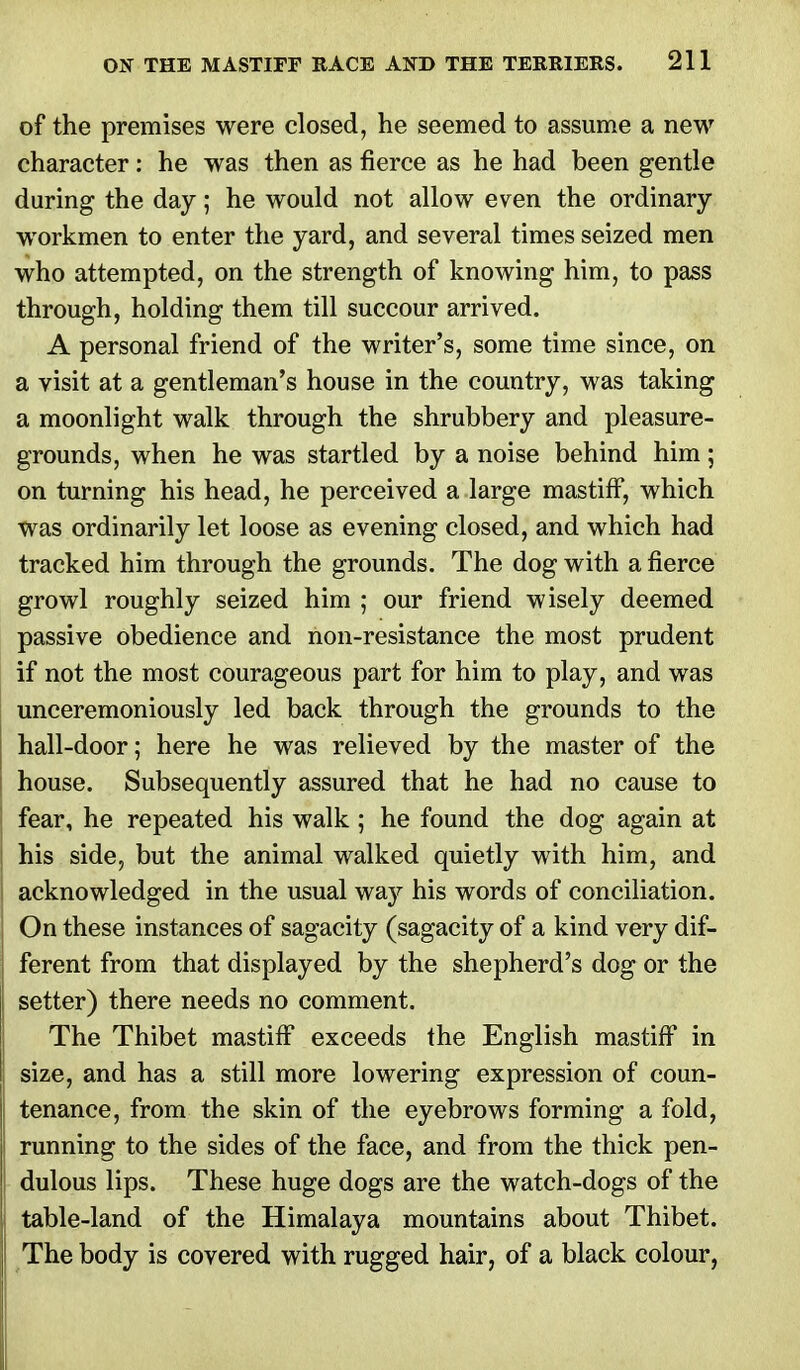 of the premises were closed, he seemed to assume a new character: he was then as fierce as he had been gentle during the day; he would not allow even the ordinary- workmen to enter the yard, and several times seized men who attempted, on the strength of knowing him, to pass through, holding them till succour arrived. A personal friend of the writer's, some time since, on a visit at a gentleman's house in the country, was taking a moonlight walk through the shrubbery and pleasure- grounds, when he was startled by a noise behind him; on turning his head, he perceived a large mastiff, which was ordinarily let loose as evening closed, and which had tracked him through the grounds. The dog with a fierce growl roughly seized him ; our friend wisely deemed passive obedience and non-resistance the most prudent if not the most courageous part for him to play, and was unceremoniously led back through the grounds to the hall-door; here he was relieved by the master of the house. Subsequently assured that he had no cause to fear, he repeated his walk ; he found the dog again at his side, but the animal walked quietly with him, and acknowledged in the usual way his words of conciliation. On these instances of sagacity (sagacity of a kind very dif- ferent from that displayed by the shepherd's dog or the setter) there needs no comment. The Thibet mastiff exceeds the English mastiff in size, and has a still more lowering expression of coun- tenance, from the skin of the eyebrows forming a fold, running to the sides of the face, and from the thick pen- dulous lips. These huge dogs are the watch-dogs of the table-land of the Himalaya mountains about Thibet. The body is covered with rugged hair, of a black colour,