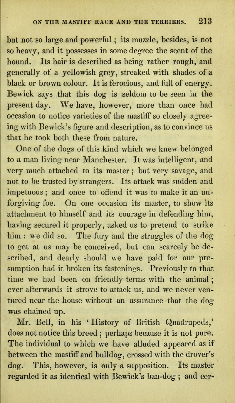 but not so large and powerful ; its muzzle, besides, is not so heavy, and it possesses in some degree the scent of the hound. Its hair is described as being rather rough, and generally of a yellowish grey, streaked with shades of a black or brown colour. It is ferocious, and full of energy. Bewick says that this dog is seldom to be seen in the present day. We have, however, more than once had occasion to notice varieties of the mastiff so closely agree- ing with Bewick's figure and description, as to convince us that he took both these from nature. One of the dogs of this kind which we knew belonged to a man living near Manchester. It was intelligent, and very much attached to its master; but very savage, and not to be trusted by strangers. Its attack was sudden and impetuous ; and once to offend it was to make it an un- forgiving foe. On one occasion its master, to show its attachment to himself and its courage in defending him, having secured it properly, asked us to pretend to strike him : we did so. The fury and the struggles of the dog to get at us may be conceived, but can scarcely be de- scribed, and dearly should we have paid for our pre- sumption had it broken its fastenings. Previously to that time we had been on friendly terms with the animal; ever afterwards it strove to attack us, and we never ven- tured near the house without an assurance that the dog was chained up. Mr. Bell, in his t History of British Quadrupeds,' does not notice this breed ; perhaps because it is not pure. The individual to which we have alluded appeared as if between the mastiff and bulldog, crossed with the drover's dog. This, however, is only a supposition. Its master regarded it as identical with Bewick's ban-dog ; and cer-