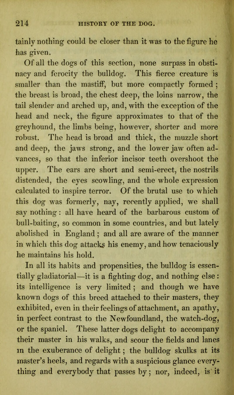 tainly nothing could be closer than it was to the figure he has given. Of all the dogs of this section, none surpass in obsti- nacy and ferocity the bulldog. This fierce creature is smaller than the mastiff, but more compactly formed ; the breast is broad, the chest deep, the loins narrow, the tail slender and arched up, and, with the exception of the head and neck, the figure approximates to that of the greyhound, the limbs being, however, shorter and more robust. The head is broad and thick, the muzzle short and deep, the jaws strong, and the lower jaw often ad- vances, so that the inferior incisor teeth overshoot the upper. The ears are short and semi-erect, the nostrils distended, the eyes scowling, and the whole expression calculated to inspire terror. Of the brutal use to which this dog was formerly, nay, recently applied, we shall say nothing : all have heard of the barbarous custom of bull-baiting, so common in some countries, and but lately abolished in England ; and all are aware of the manner in which this dog attacks his enemy, and how tenaciously he maintains his hold. In all its habits and propensities, the bulldog is essen- tially gladiatorial—it is a fighting dog, and nothing else : its intelligence is very limited ; and though we have known dogs of this breed attached to their masters, they exhibited, even in their feelings of attachment, an apathy, in perfect contrast to the Newfoundland, the watch-dog, or the spaniel. These latter dogs delight to accompany their master in his walks, and scour the fields and lanes in the exuberance of delight; the bulldog skulks at its master's heels, and regards with a suspicious glance every- thing and everybody that passes by; nor, indeed, isv it