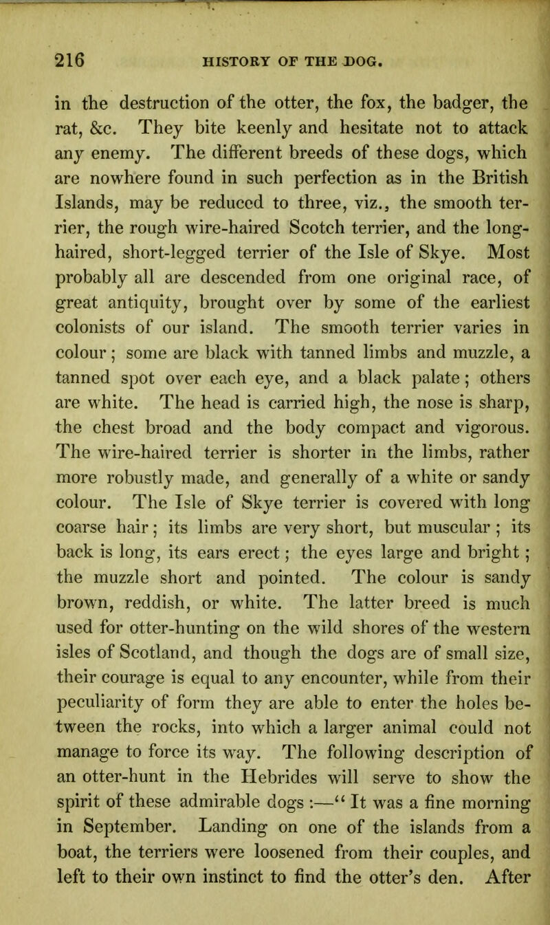 in the destruction of the otter, the fox, the badger, the rat, &c. They bite keenly and hesitate not to attack any enemy. The different breeds of these dogs, which are nowhere found in such perfection as in the British Islands, may be reduced to three, viz., the smooth ter- rier, the rough wire-haired Scotch terrier, and the long- haired, short-legged terrier of the Isle of Skye. Most probably all are descended from one original race, of great antiquity, brought over by some of the earliest colonists of our island. The smooth terrier varies in colour; some are black with tanned limbs and muzzle, a tanned spot over each eye, and a black palate; others are white. The head is carried high, the nose is sharp, the chest broad and the body compact and vigorous. The wire-haired terrier is shorter in the limbs, rather more robustly made, and generally of a white or sandy colour. The Isle of Skye terrier is covered with long coarse hair; its limbs are very short, but muscular ; its back is long, its ears erect; the eyes large and bright; the muzzle short and pointed. The colour is sandy brown, reddish, or white. The latter breed is much used for otter-hunting on the wild shores of the western isles of Scotland, and though the dogs are of small size, their courage is equal to any encounter, while from their peculiarity of form they are able to enter the holes be- tween the rocks, into which a larger animal could not manage to force its way. The following description of an otter-hunt in the Hebrides will serve to show the spirit of these admirable dogs :— It was a fine morning in September. Landing on one of the islands from a boat, the terriers were loosened from their couples, and left to their own instinct to find the otter's den. After