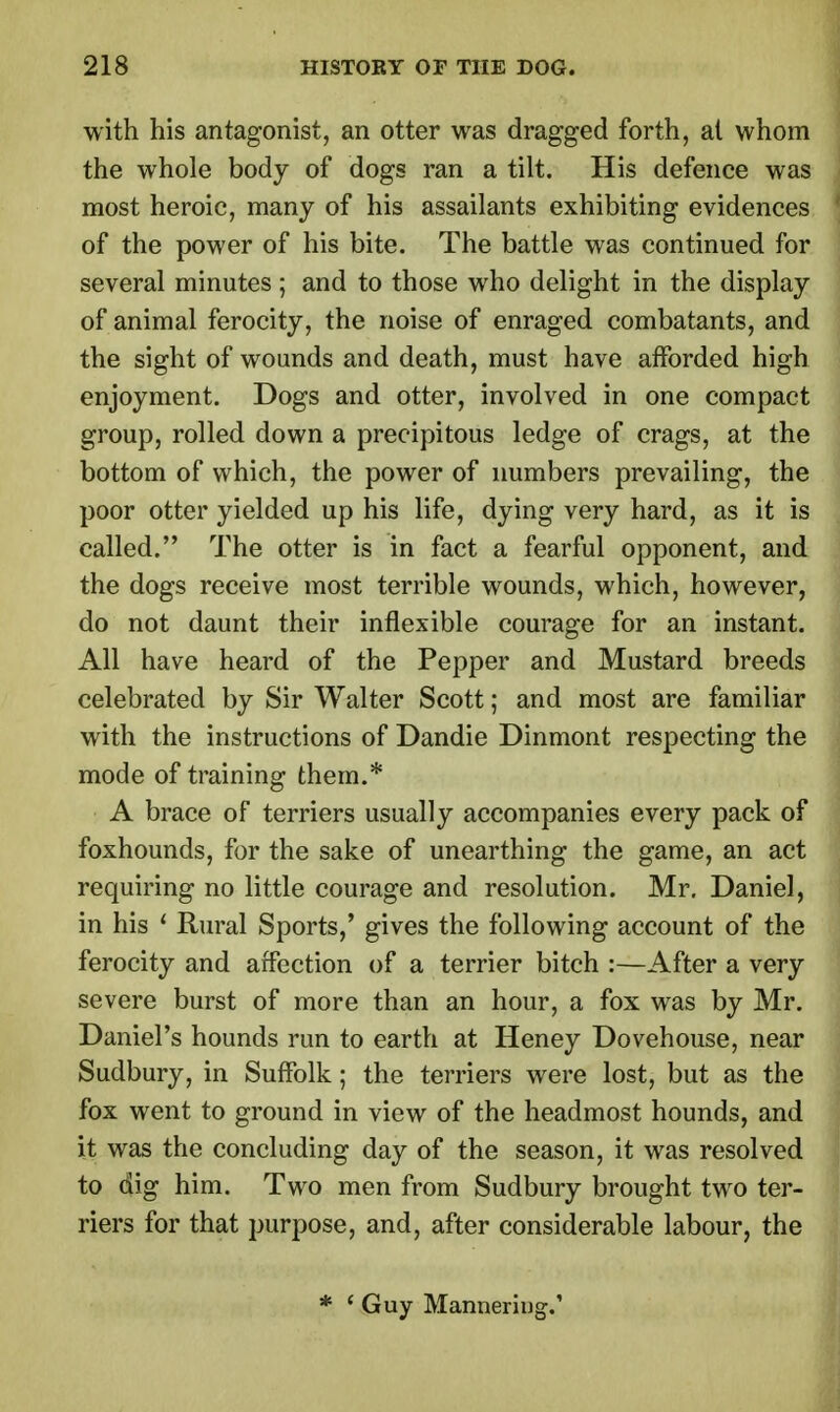 with his antagonist, an otter was dragged forth, al whom the whole body of dogs ran a tilt. His defence was most heroic, many of his assailants exhibiting evidences of the power of his bite. The battle was continued for several minutes ; and to those who delight in the display of animal ferocity, the noise of enraged combatants, and the sight of wounds and death, must have afforded high enjoyment. Dogs and otter, involved in one compact group, rolled down a precipitous ledge of crags, at the bottom of which, the power of numbers prevailing, the poor otter yielded up his life, dying very hard, as it is called. The otter is in fact a fearful opponent, and the dogs receive most terrible wounds, which, however, do not daunt their inflexible courage for an instant. All have heard of the Pepper and Mustard breeds celebrated by Sir Walter Scott; and most are familiar with the instructions of Dandie Dinmont respecting the mode of training them.* A brace of terriers usually accompanies every pack of foxhounds, for the sake of unearthing the game, an act requiring no little courage and resolution. Mr. Daniel, in his ' Rural Sports/ gives the following account of the ferocity and affection of a terrier bitch :—After a very severe burst of more than an hour, a fox was by Mr. Daniel's hounds run to earth at Heney Dovehouse, near Sudbury, in Suffolk; the terriers were lost, but as the fox went to ground in view of the headmost hounds, and it was the concluding day of the season, it was resolved to dig him. Two men from Sudbury brought two ter- riers for that purpose, and, after considerable labour, the * ' Guy Manneriug.'