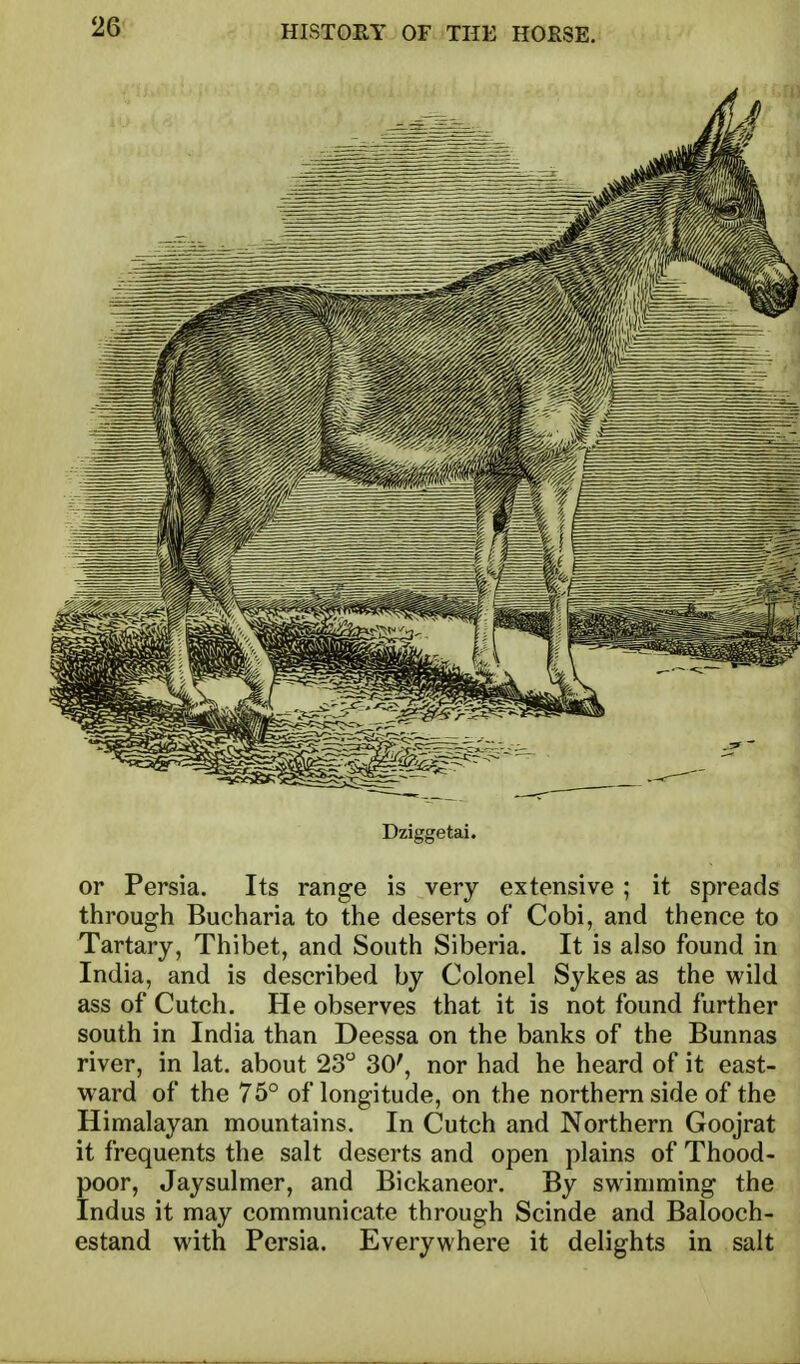 Dziggetai. or Persia. Its range is very extensive ; it spreads through Bucharia to the deserts of Gobi, and thence to Tartary, Thibet, and South Siberia. It is also found in India, and is described by Colonel Sykes as the wild ass of Cutch. He observes that it is not found further south in India than Deessa on the banks of the Bunnas river, in lat. about 23 30', nor had he heard of it east- ward of the 75° of longitude, on the northern side of the Himalayan mountains. In Cutch and Northern Goojrat it frequents the salt deserts and open plains of Thood- poor, Jaysulmer, and Bickaneor. By swimming the Indus it may communicate through Scinde and Balooch- estand with Persia. Everywhere it delights in salt