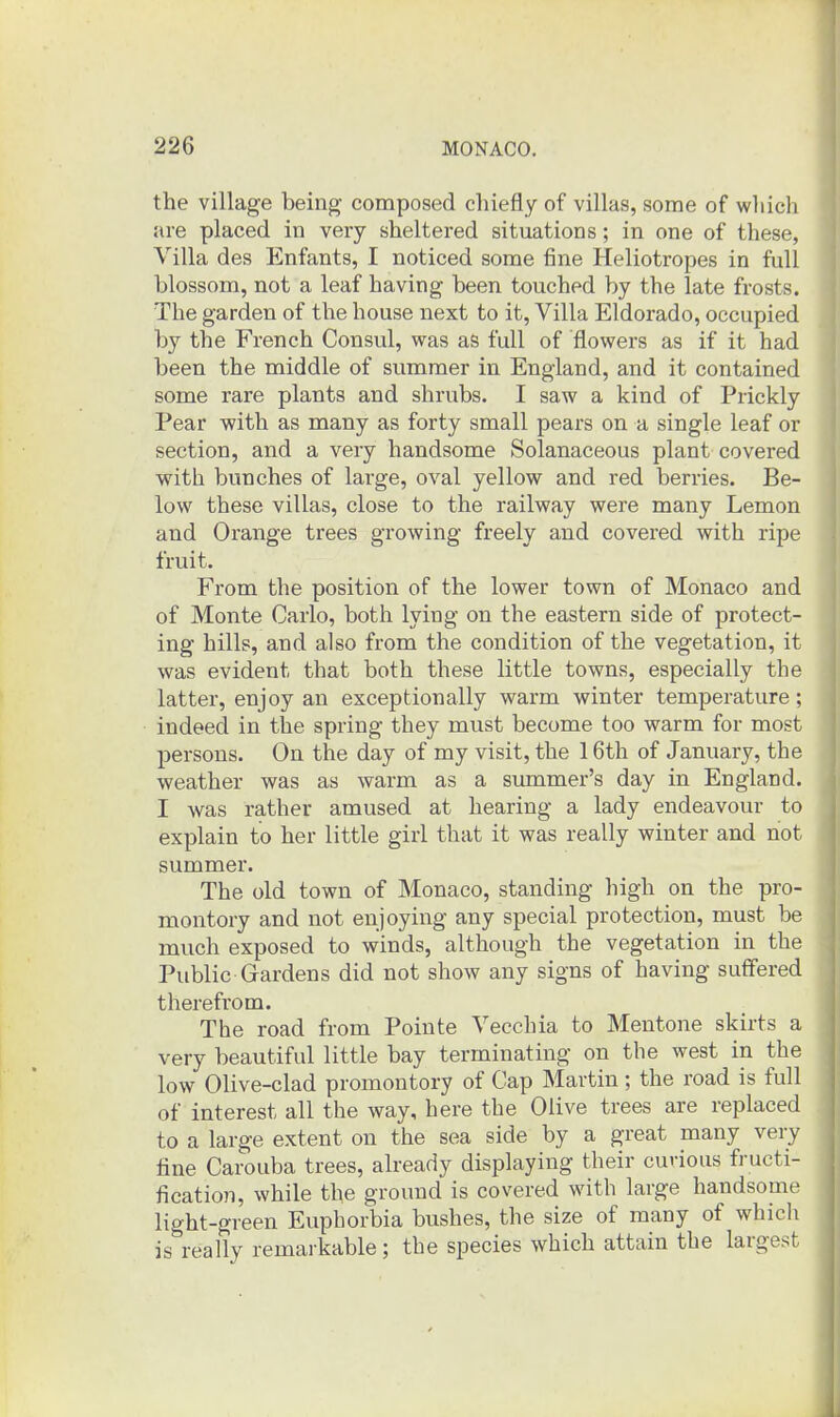 the village being composed chiefly of villas, some of whicli are placed in very sheltered situations; in one of these, Villa des Enfants, I noticed some fine Heliotropes in full blossom, not a leaf having been touched by the late frosts. The garden of the house next to it. Villa Eldorado, occupied by the French Consul, was as full of flowers as if it had been the middle of summer in England, and it contained some rare plants and shrubs. I saw a kind of Prickly Pear with as many as forty small pears on a single leaf or section, and a very handsome Solanaceous plant covered with bunches of large, oval yellow and red berries. Be- low these villas, close to the railway were many Lemon and Orange trees growing freely and covered with ripe fruit. From the position of the lower town of Monaco and of Monte Carlo, both lying on the eastern side of protect- ing hills, and also from the condition of the vegetation, it was evident that both these little towns, especially the latter, enjoy an exceptionally warm winter temperature; indeed in the spring they must become too warm for most persons. On the day of my visit, the 16th of January, the weather was as warm as a siunmer's day in England. I was rather amused at hearing a lady endeavour to explain to her little girl that it was really winter and not summer. The old town of Monaco, standing high on the pro- montory and not enjoying any special protection, must be much exposed to winds, although the vegetation in the Public Gardens did not show any signs of having suffered therefrom. The road from Pointe Vecchia to Mentone skirts a very beautiful little bay terminating on the west in the low Olive-clad promontory of Cap Martin ; the road is full of interest all the way, here the Olive trees are replaced to a large extent on the sea side by a great many very fine Carouba trees, already displaying their curious fructi- fication, while the ground is covered with large handsome light-green Euphorbia bushes, the size of many of which is really remarkable; the species which attain the largest