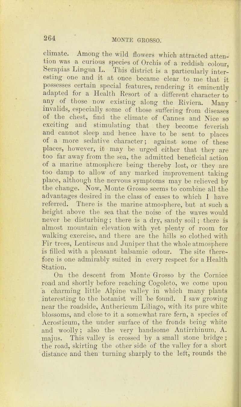 climate. Among the wild flowers which attracted atten- tion was a curious specips of Orchis of a reddish colour, Serapias Lingua L. This district is a particularly inter- esting one and it at once became clear to me that it possesses certain special features, rendering it eminently adapted for a Health Resort of a different character to any of those now existing along the Eiviera. Many invalids, especially some of those sutTering from diseases of the chest, find the climate of Cannes and Nice so exciting and stimulating that they become feverish and cannot sleep and hence have to be sent to places of a more sedative character; against some of these places, however, it may be urged either that they are too far away from the sea, the admitted beneficial action of a marine atmosphere being thereby lost, or they are too damp to allow of any marked improvement taking place, although the nervous symptoms may be relieved by the change. Now, Monte Grrosso seems to combine all the advantages desired in the class of cases to which I have referred. There is the marine atmo^^phere, but at such a heiglit above the sea that the noise of the waves would never be disturbing; there is a dry, sandy soil; there is almost mountain elevation with yet plenty of room tor walking exercise, and there are the hills so clothed wdth Fir trees, Lentiscus and Juniper that the whole atmosphere is filled with a pleasant balsamic odour. The site there- fore is one admirably suited in every respect for a Health Station. On the descent from Monte Grrosso by the Cornice road and shortly before reaching Cogoleto, we come upon a charming little Alpine valley in which many plants interesting to the botanist will be found. I saw growing near the roadside, Anthericum Liliago, with its pure white blossoms, and close to it a somewhat rare fem, a species of Acrosticum, the under surface of the fronds being white and woolly; also the very handsome Antirrhinum, A. majus. This valley is crossed by a small stone bi idge ; the road, skirting the other side of the valley for a short distance and then turning sharply to the left, rounds the
