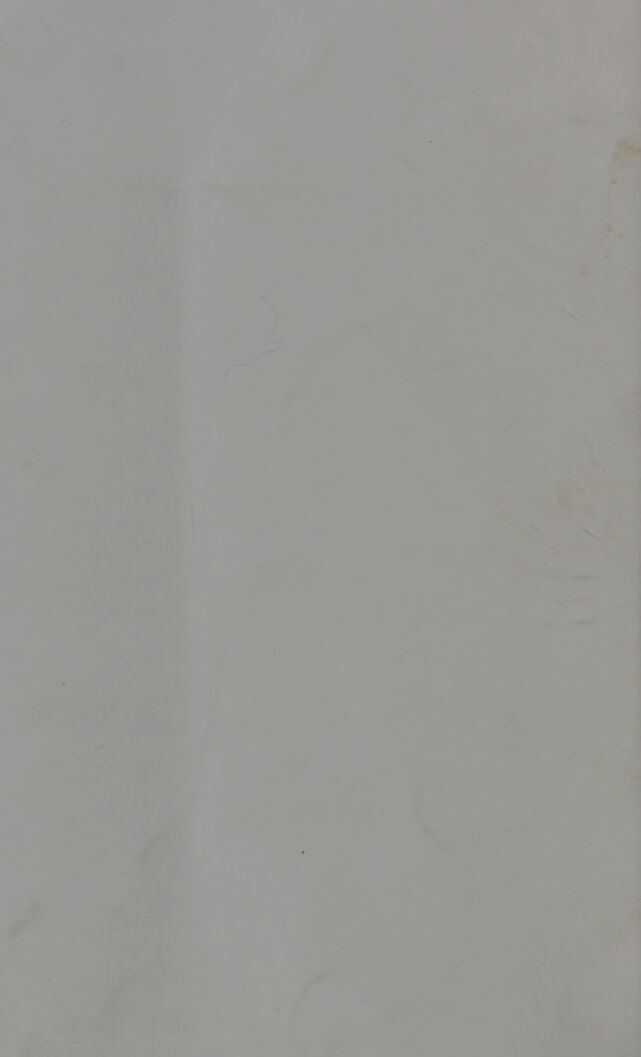 digitised image 2